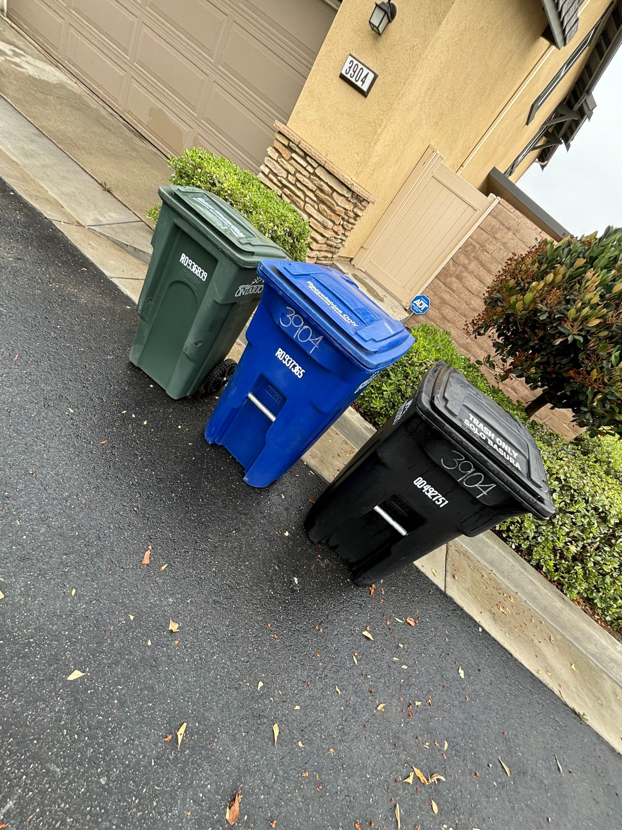 Trash Bin Cleaning by Pirate Pete’s Power Washing
