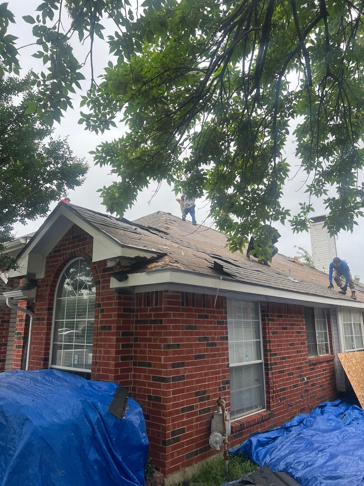 Project in Garland by Rhino Roofing and General Contracting, LLC