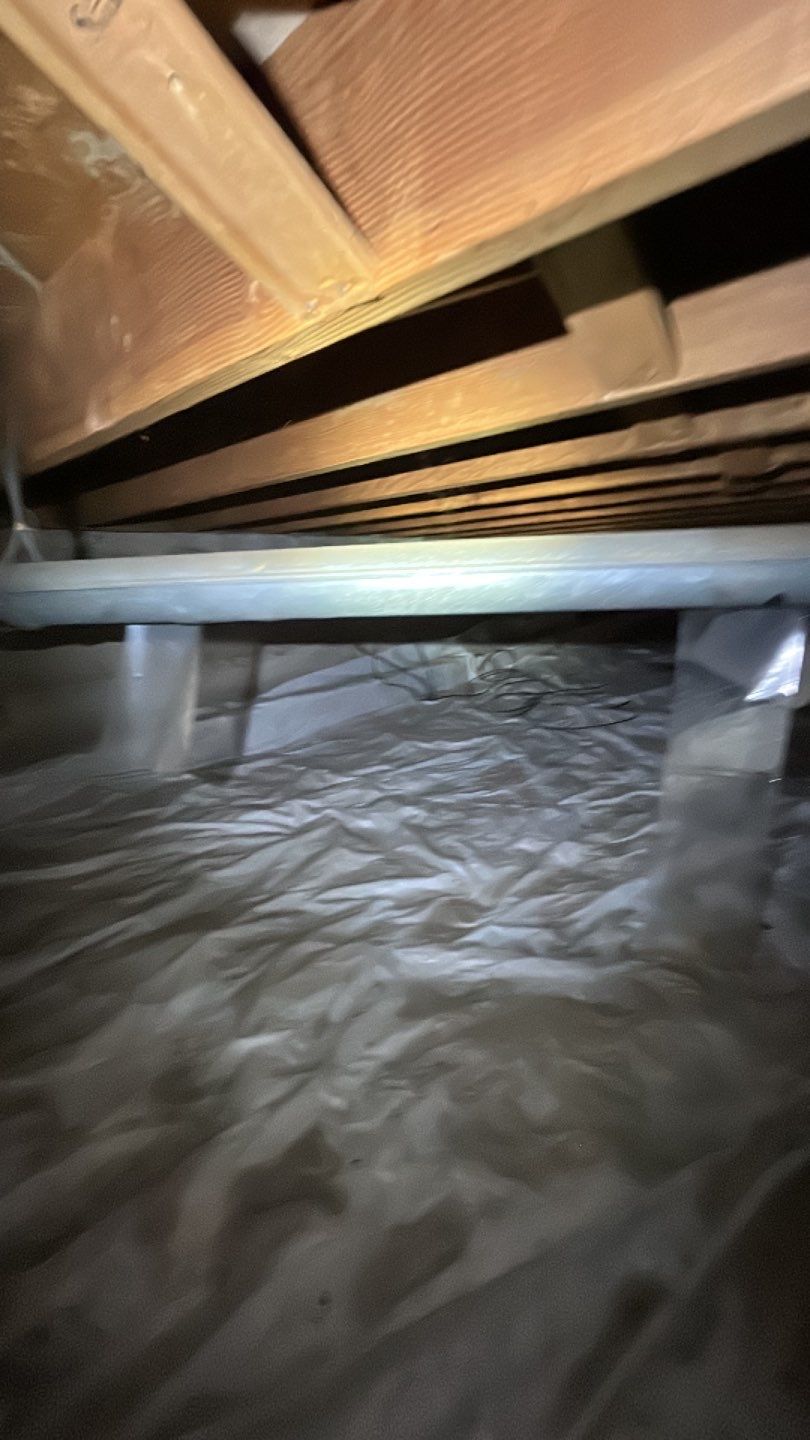 Sewage Backup by Accountable Home Services