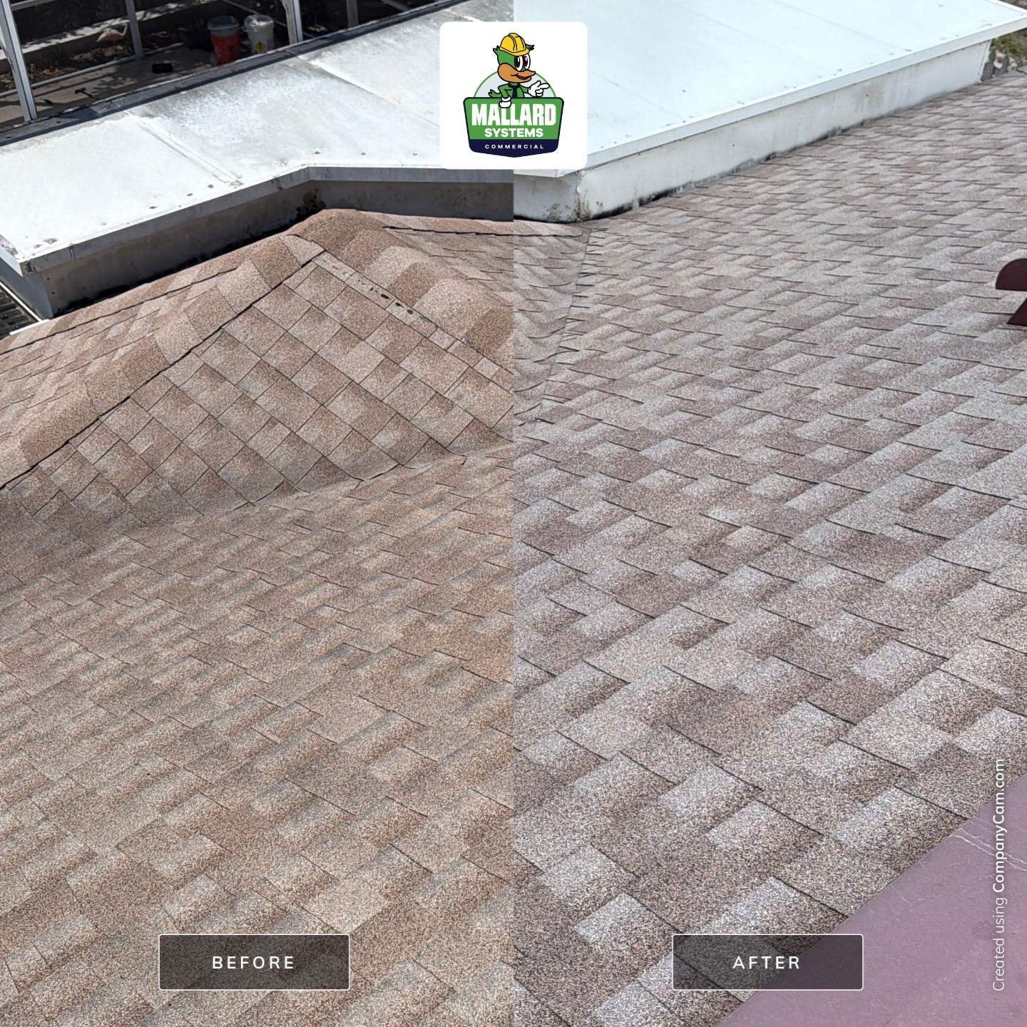 Professional Roof Cleaning and Shingle Treatment in Ocoee, Florida by Mallard Systems