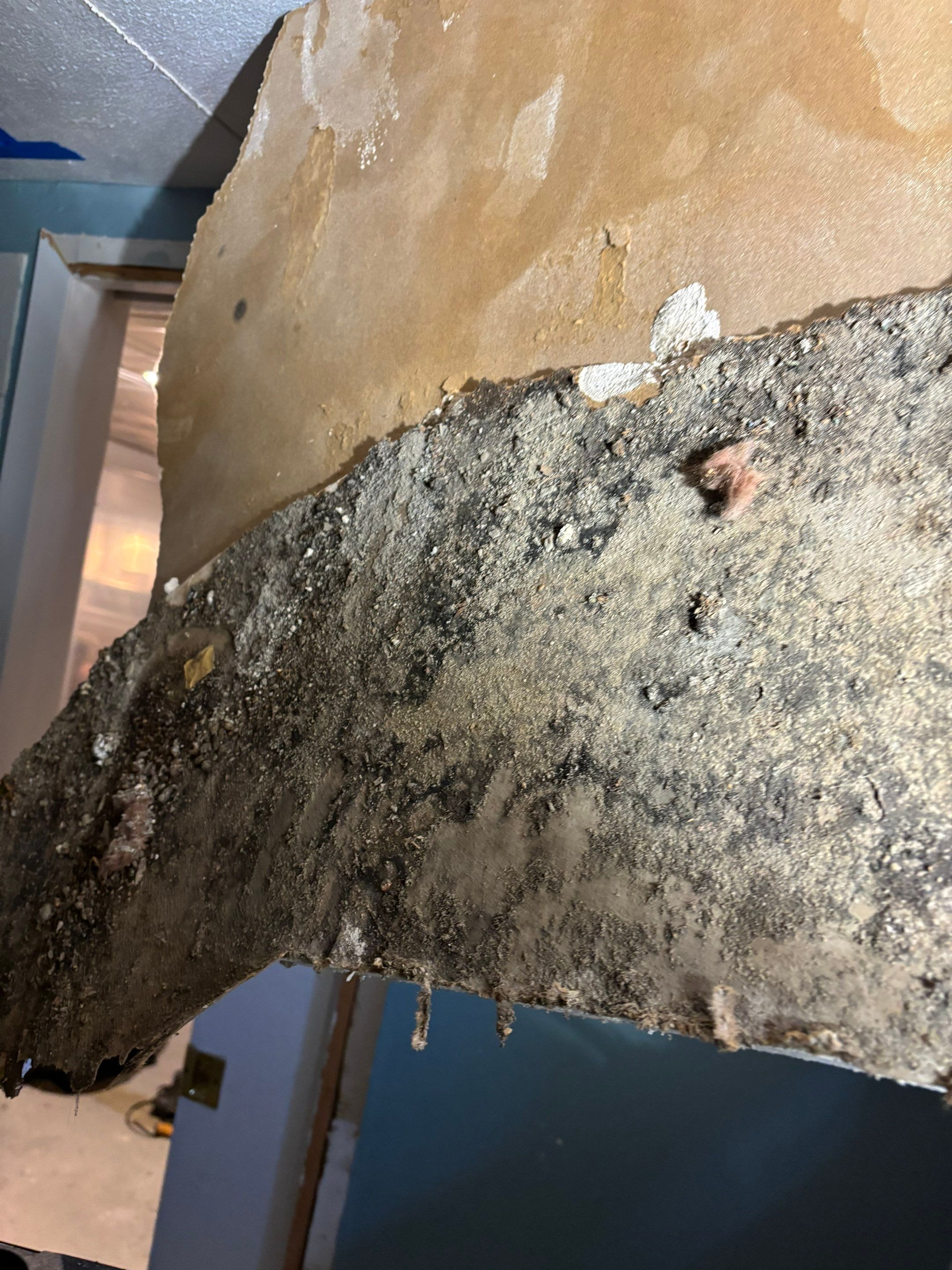 Mold Remediation in Bethpage NY by long island mold guy