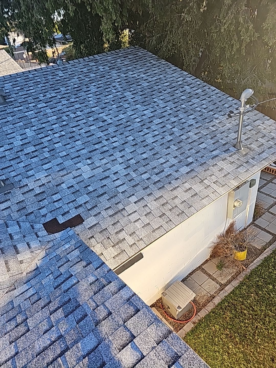 Silver Birch Shingles by Reimagine Roofing