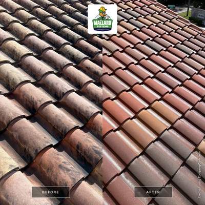 Barrel Tile Roof Cleaning in Casselberry