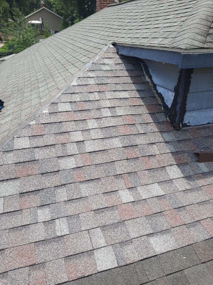 Corey Lowe by Silver Leaf Contracting 