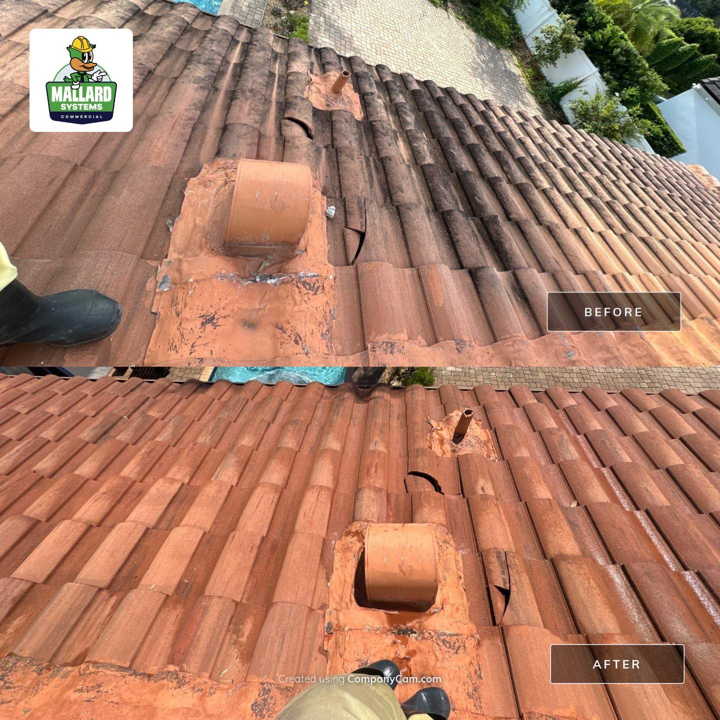 Clay Barrel Tile Roof Cleaning by Mallard Systems
