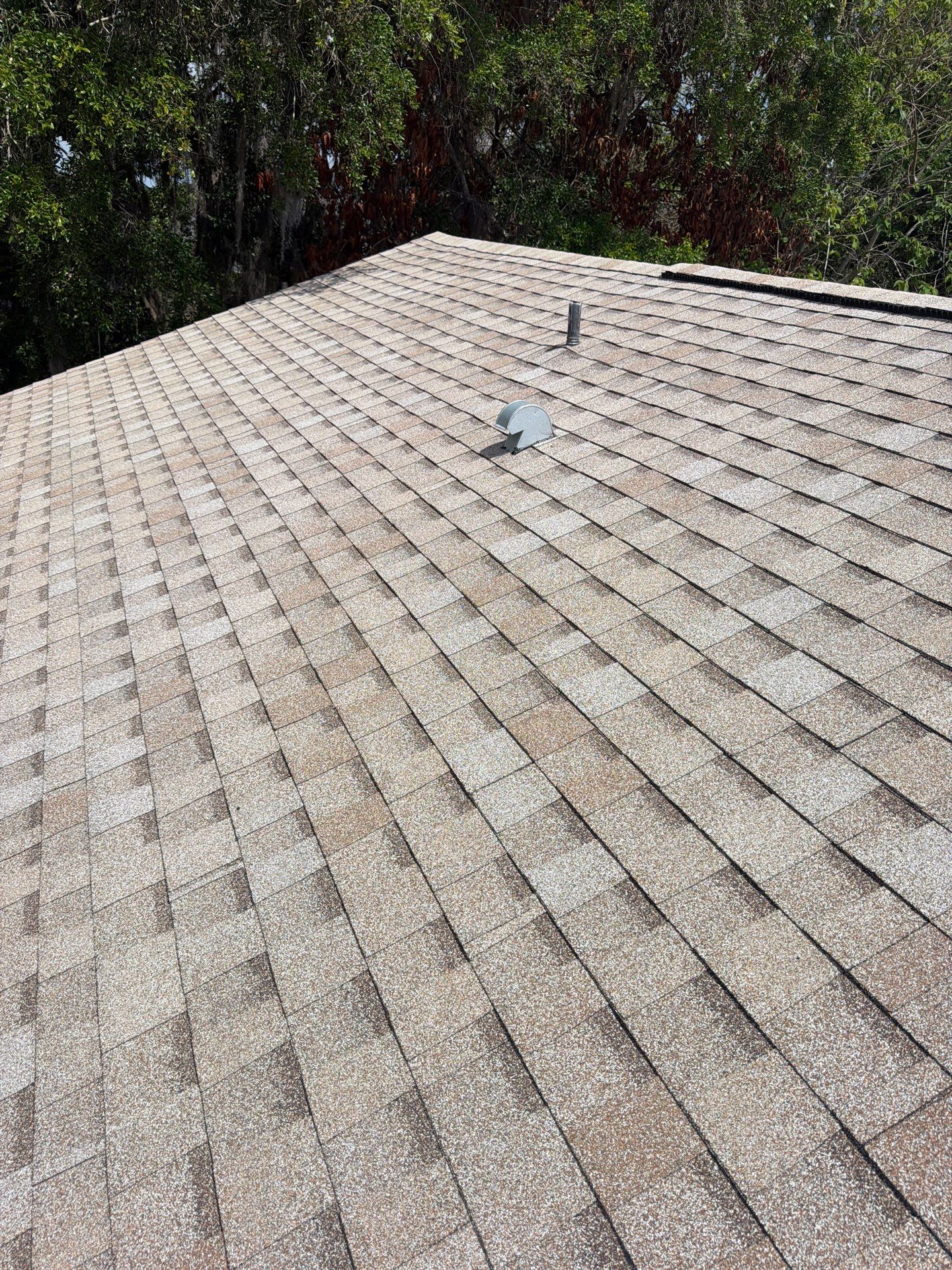Shingle Reroof Replacement Sanford FL by Pinnacle Roofing Group