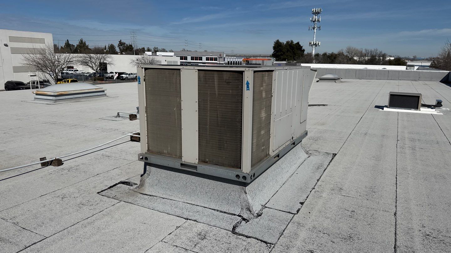 Project by NuLead Construction Inc by NuLead Construction Inc