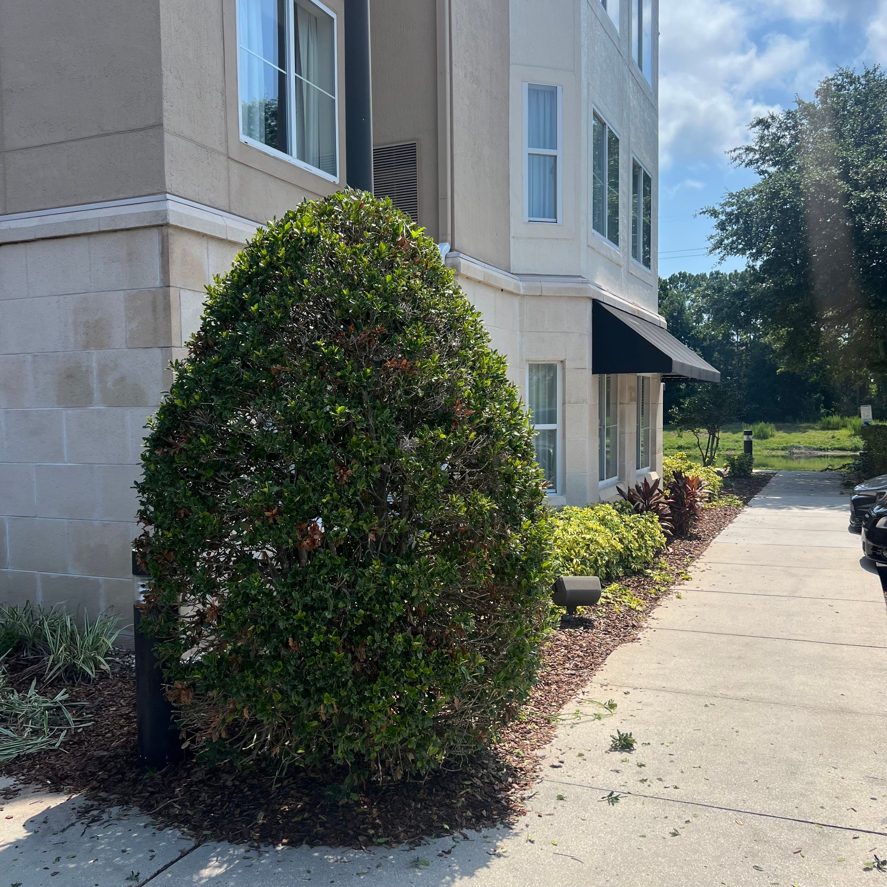Homewood Suites | Tree Service by ProGreen Services