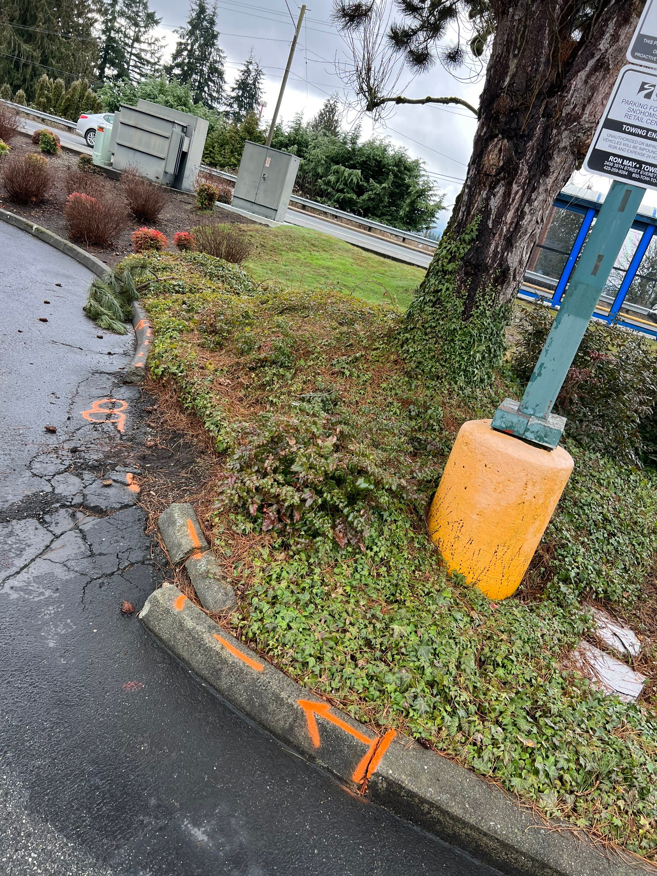 Amanda | Concrete Curb by Jireh Asphalt & Concrete Inc 