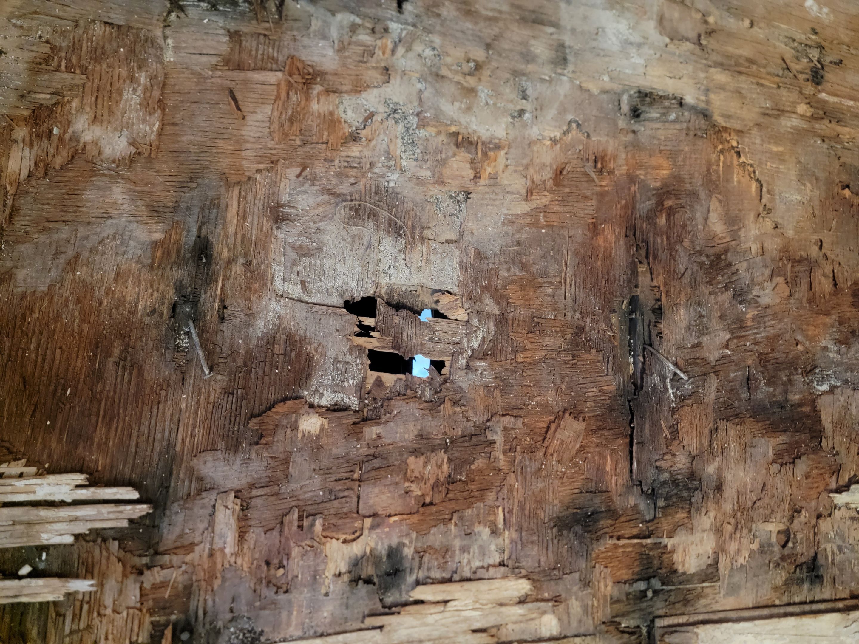Water Damage and Restoration Completion by Smart Dry Restoration