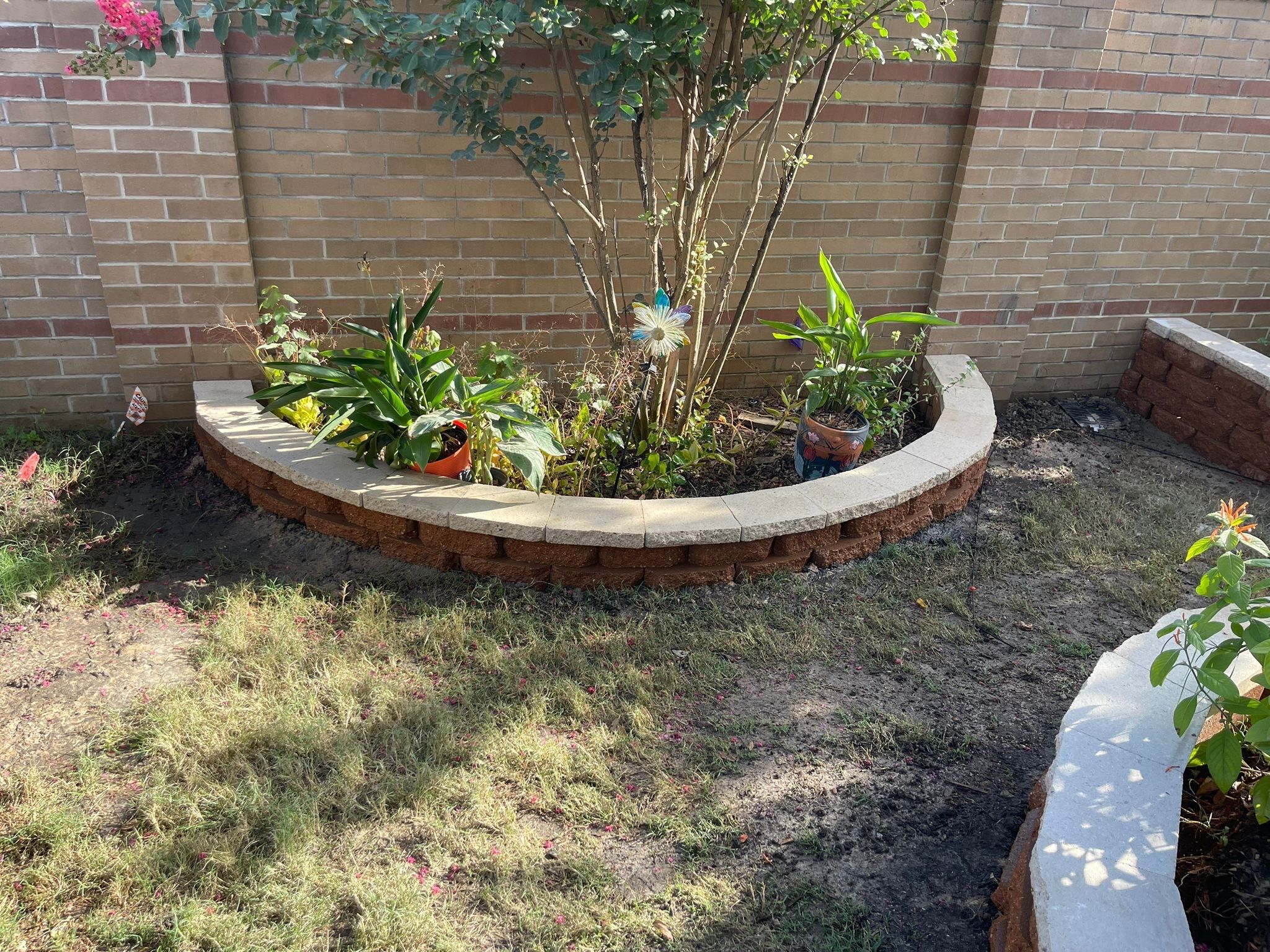 🌿 Pamela’s Backyard Makeover by Texas Urban Elements