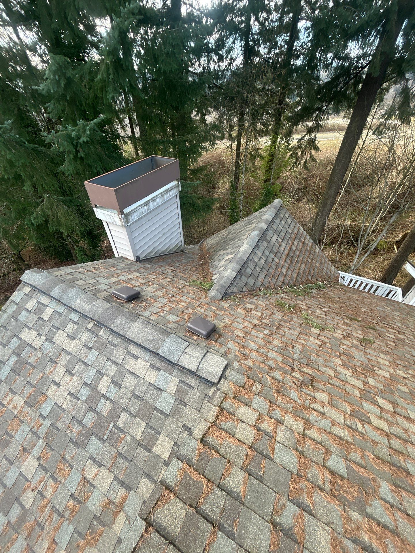 Project in Bothell by Peaks and Valleys Construction
