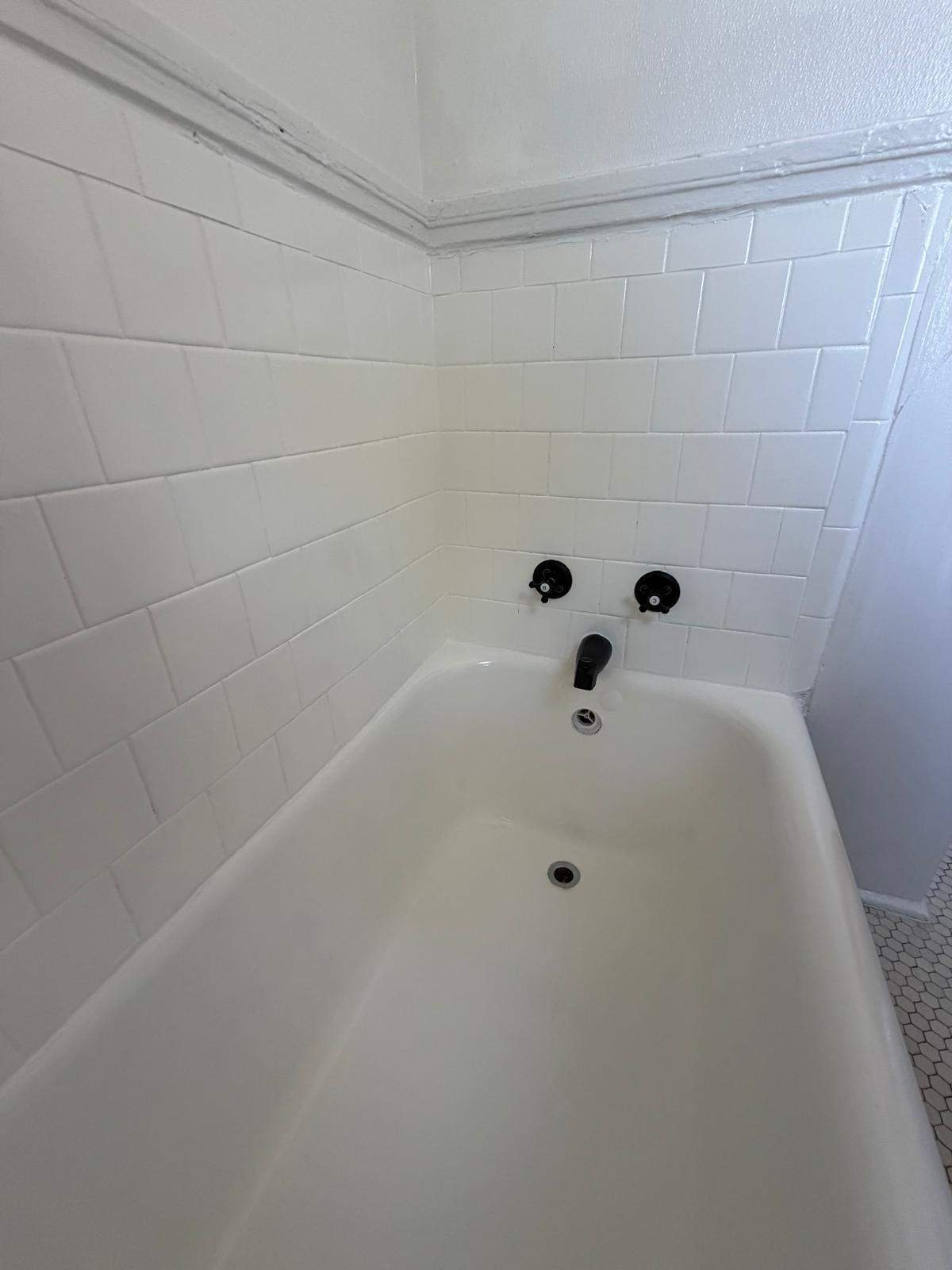 Bathtub renovation  by Alpha and Omega Pro Services