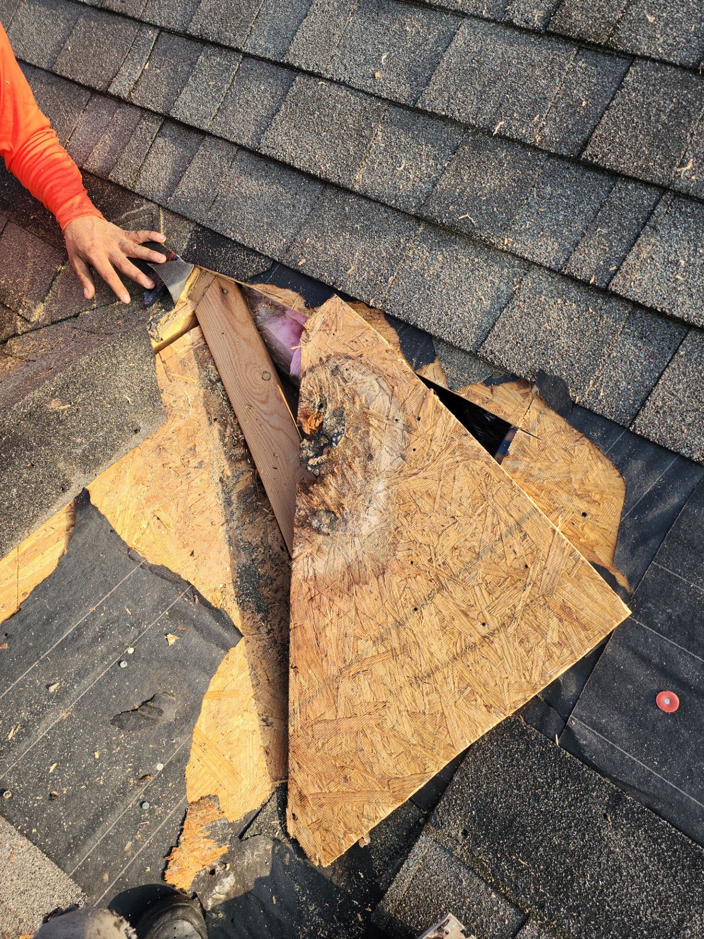 Hail Damage using Owen's Corning Duration (Lifetime) Shingles by Roof Repair Company