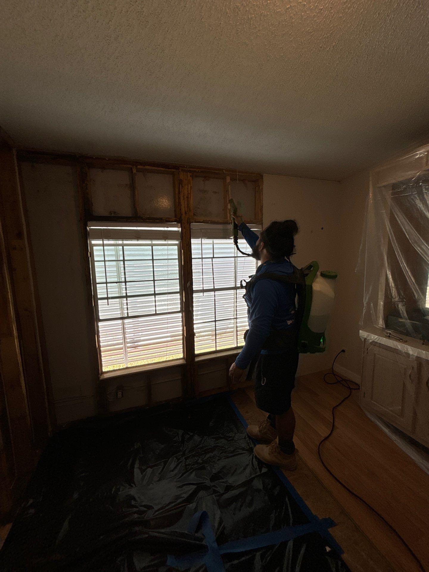 Mold Remediation Palmetto by Ampm Restoration Services 