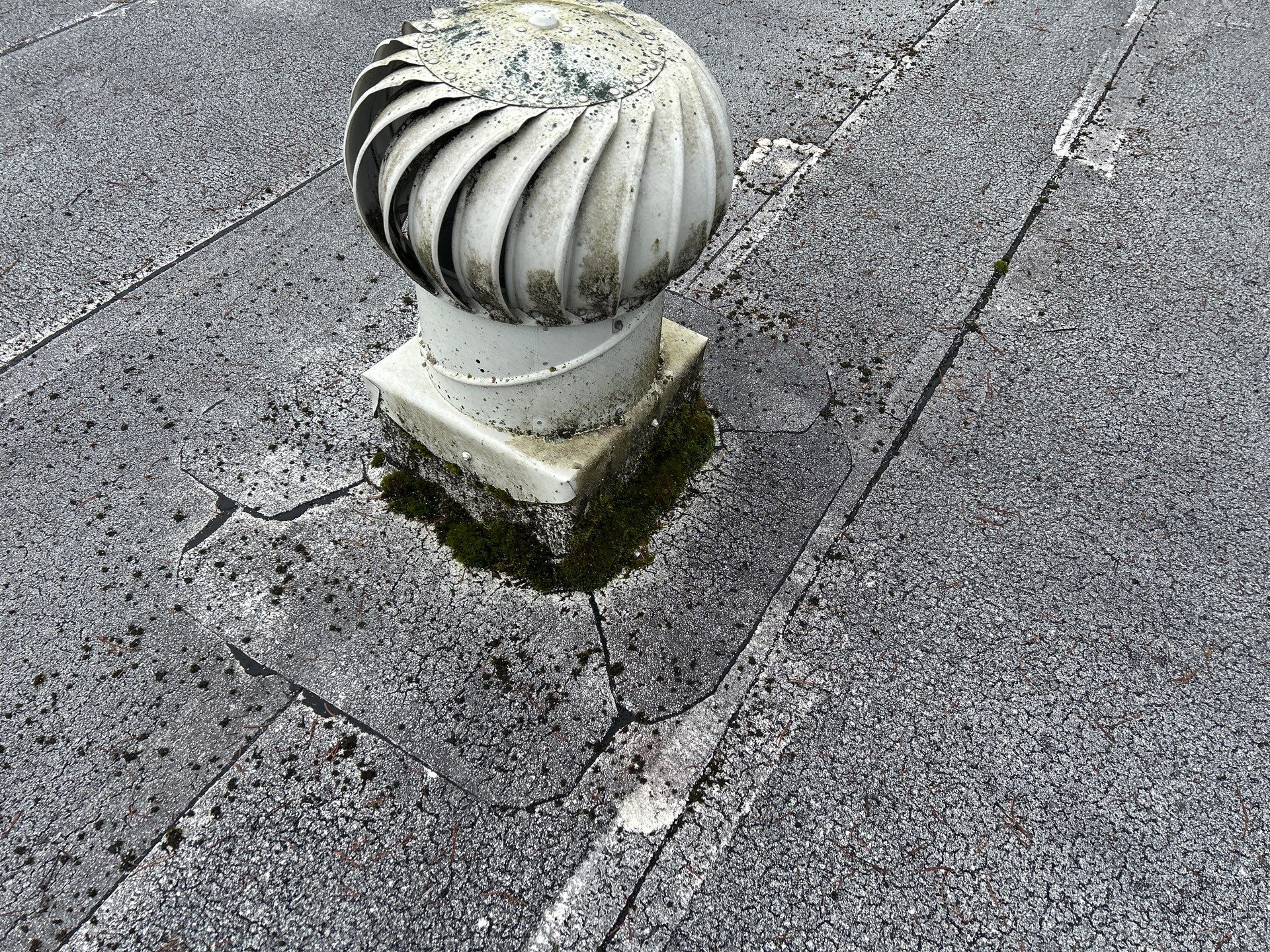 Project in Kirkland by Connolly Construction Company