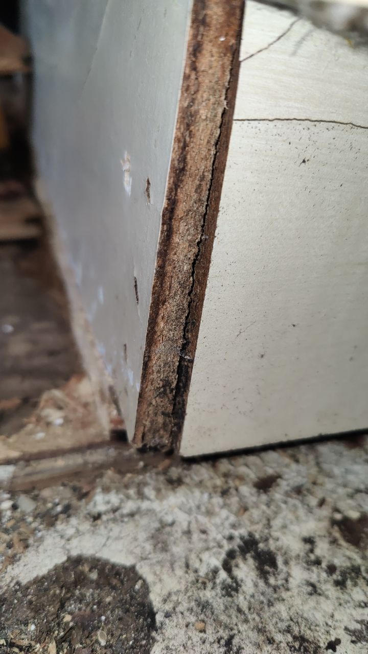 Mold Damage by Accountable Home Services