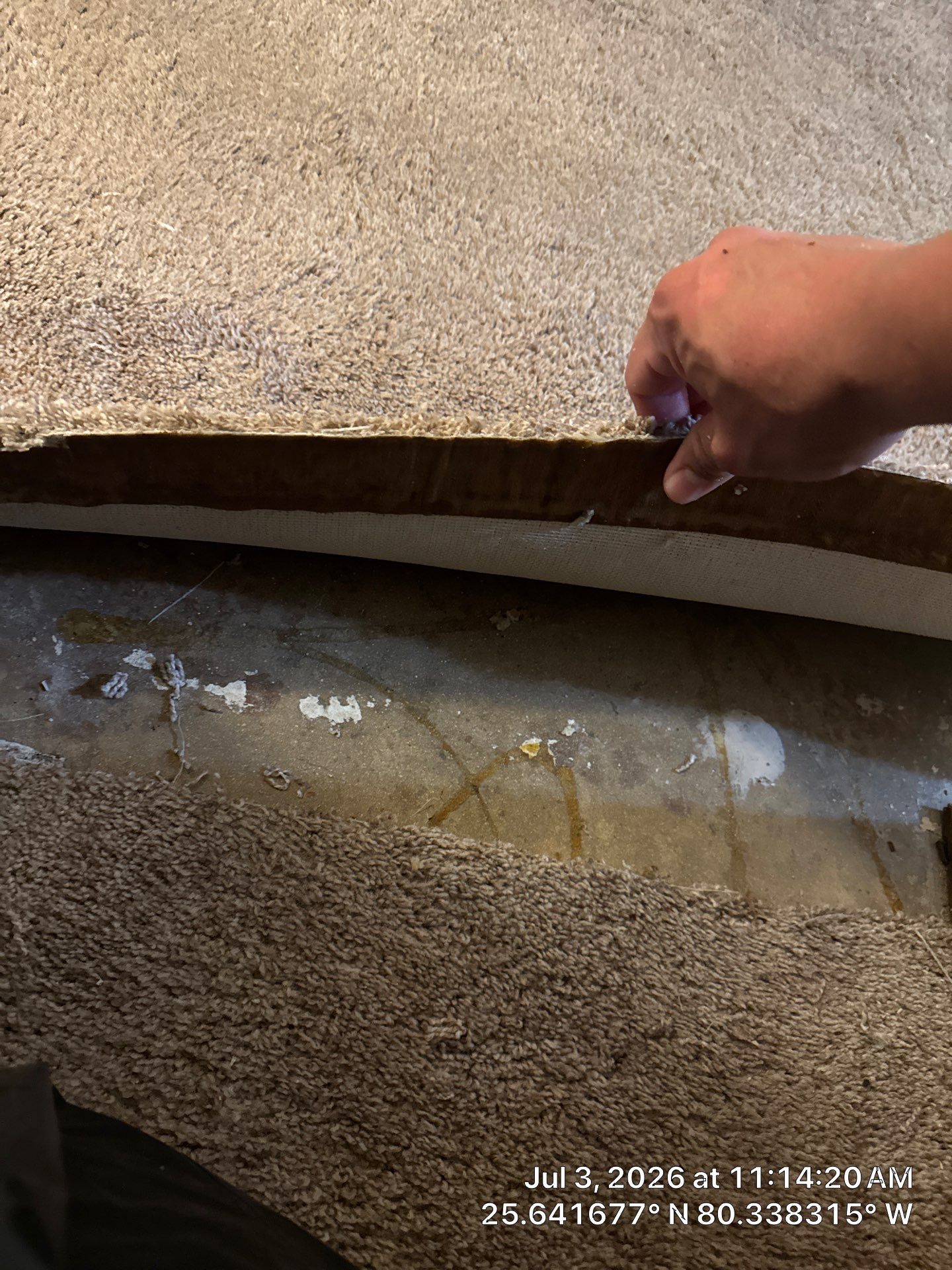 Comprehensive Water Damage Mitigation and Structural Drying in Miami by SuperClean