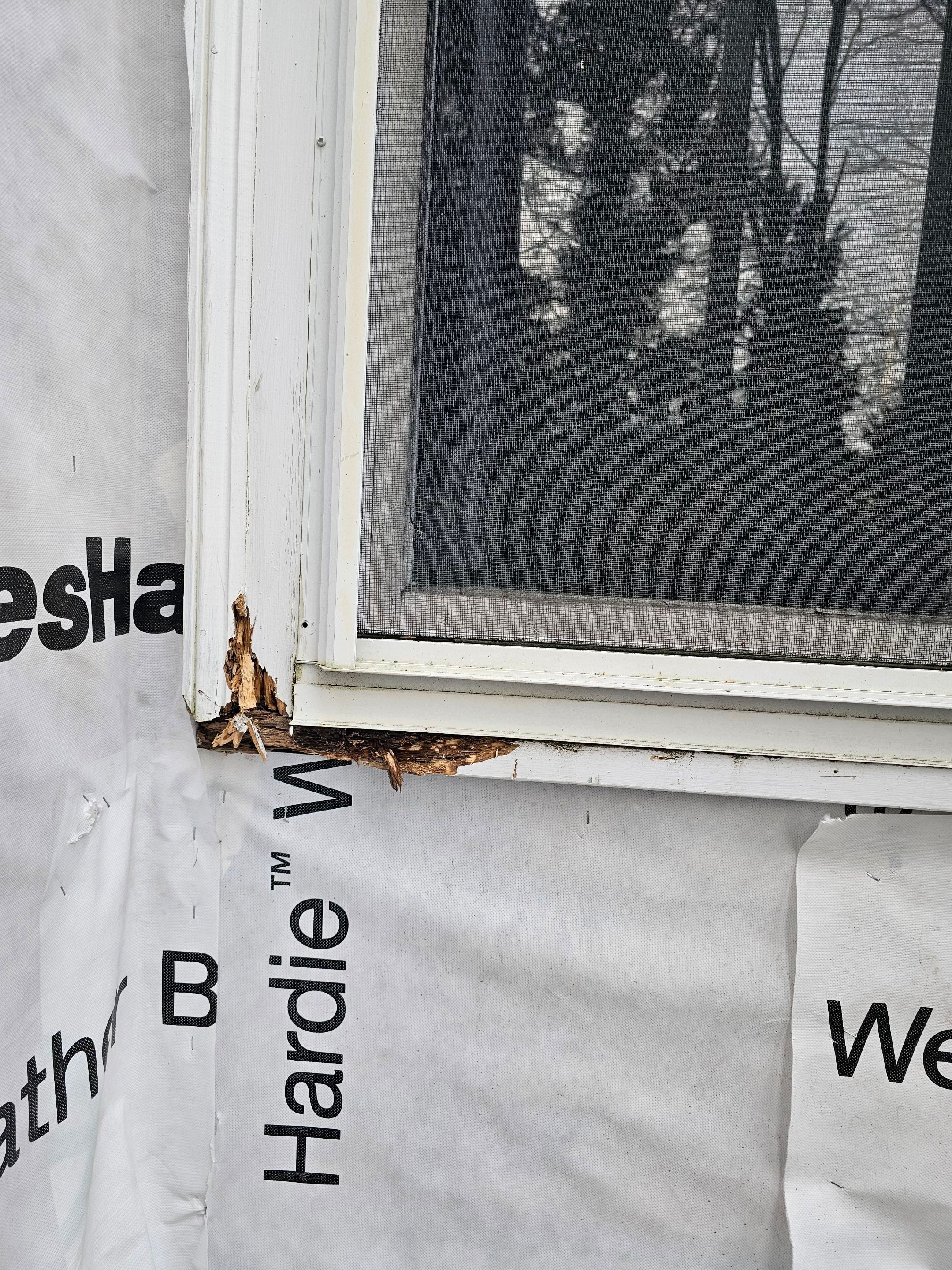 White cedar shingles and windows in Wayland, MA by UBrothers Construction