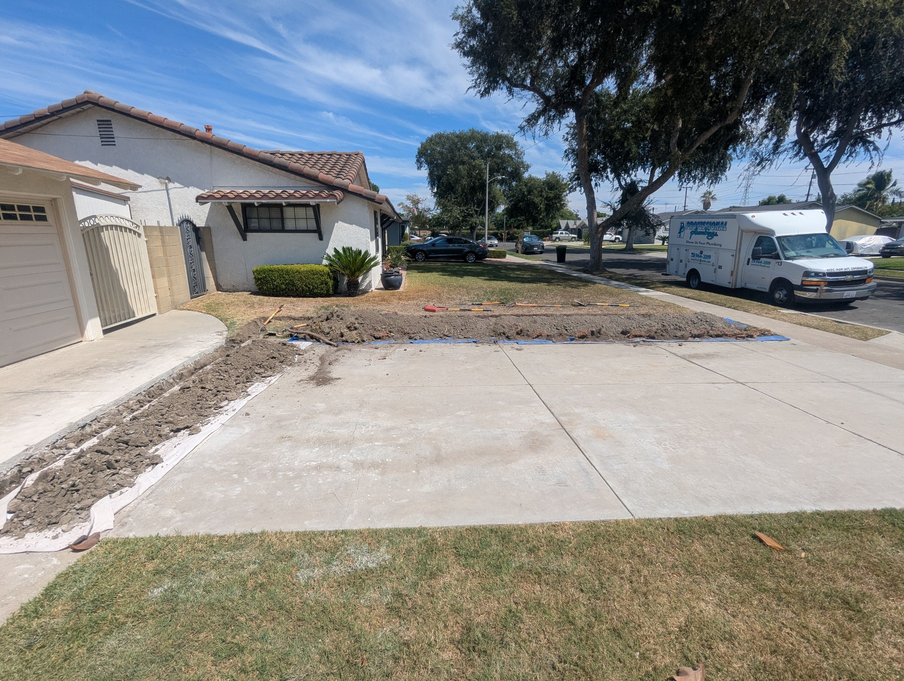 Water Main from meter to house  by Professional Plumbing Inc 