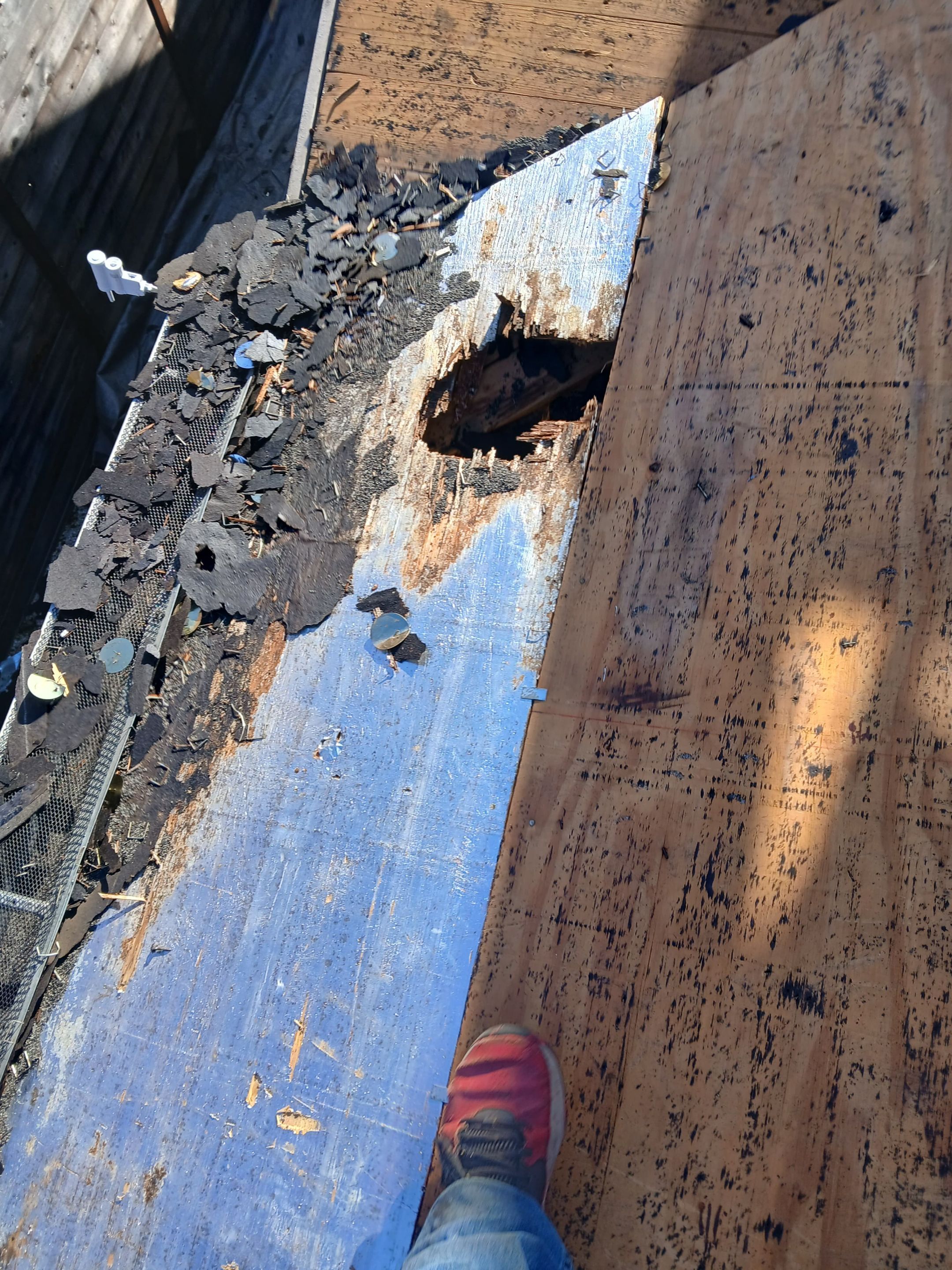 Custom skylights and all by REPS Austin Area Roofer