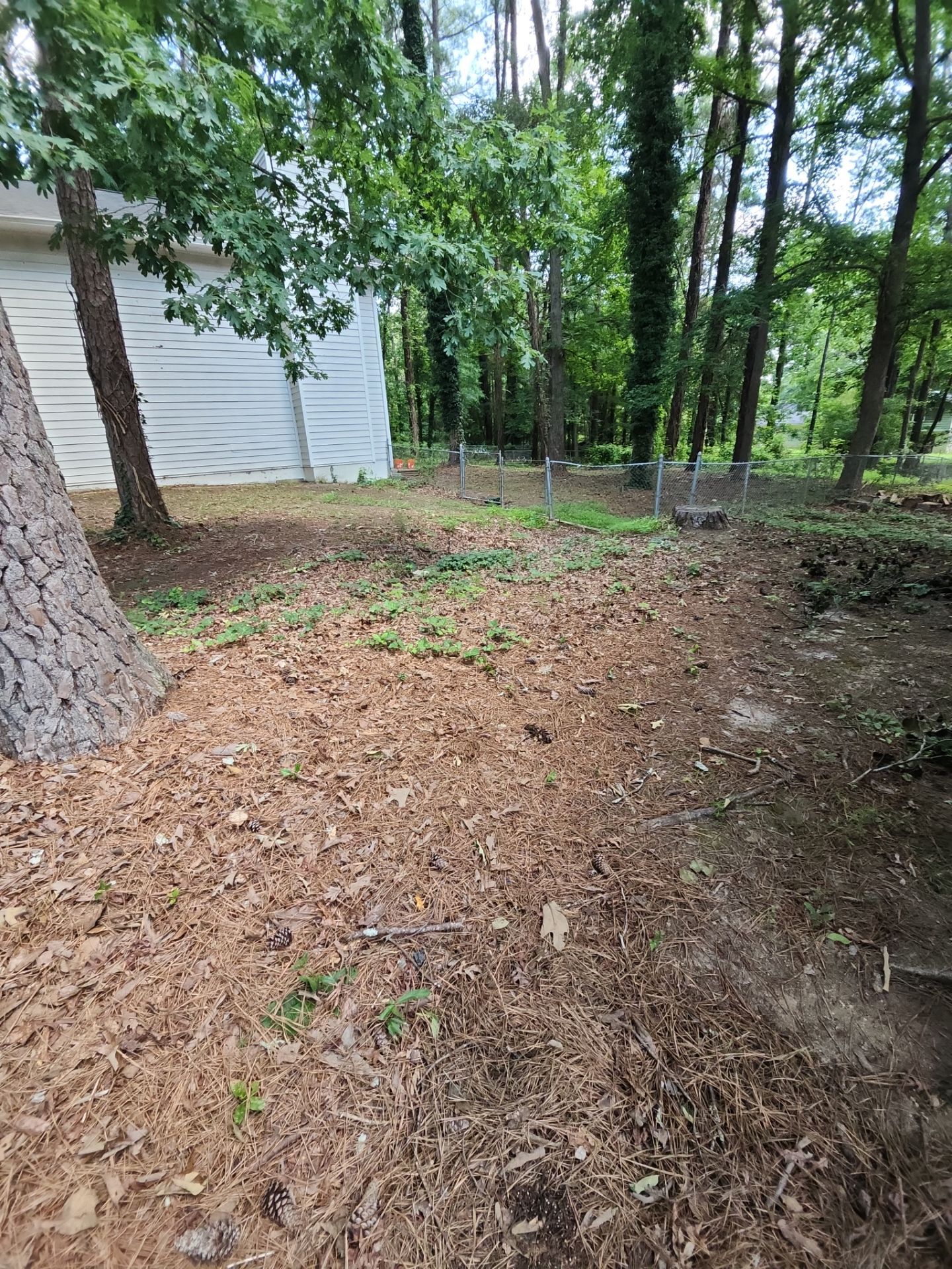 Project in Riverdale, GA by Task Masters Handyman Services, LLC