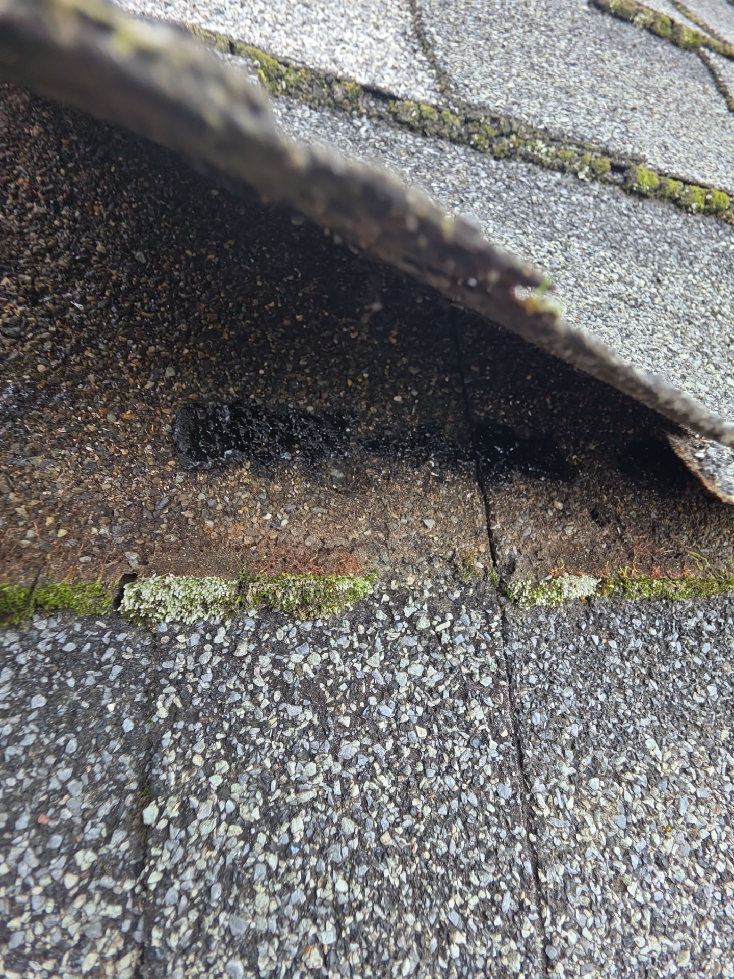 Project in Corvallis by Alamo Roofing