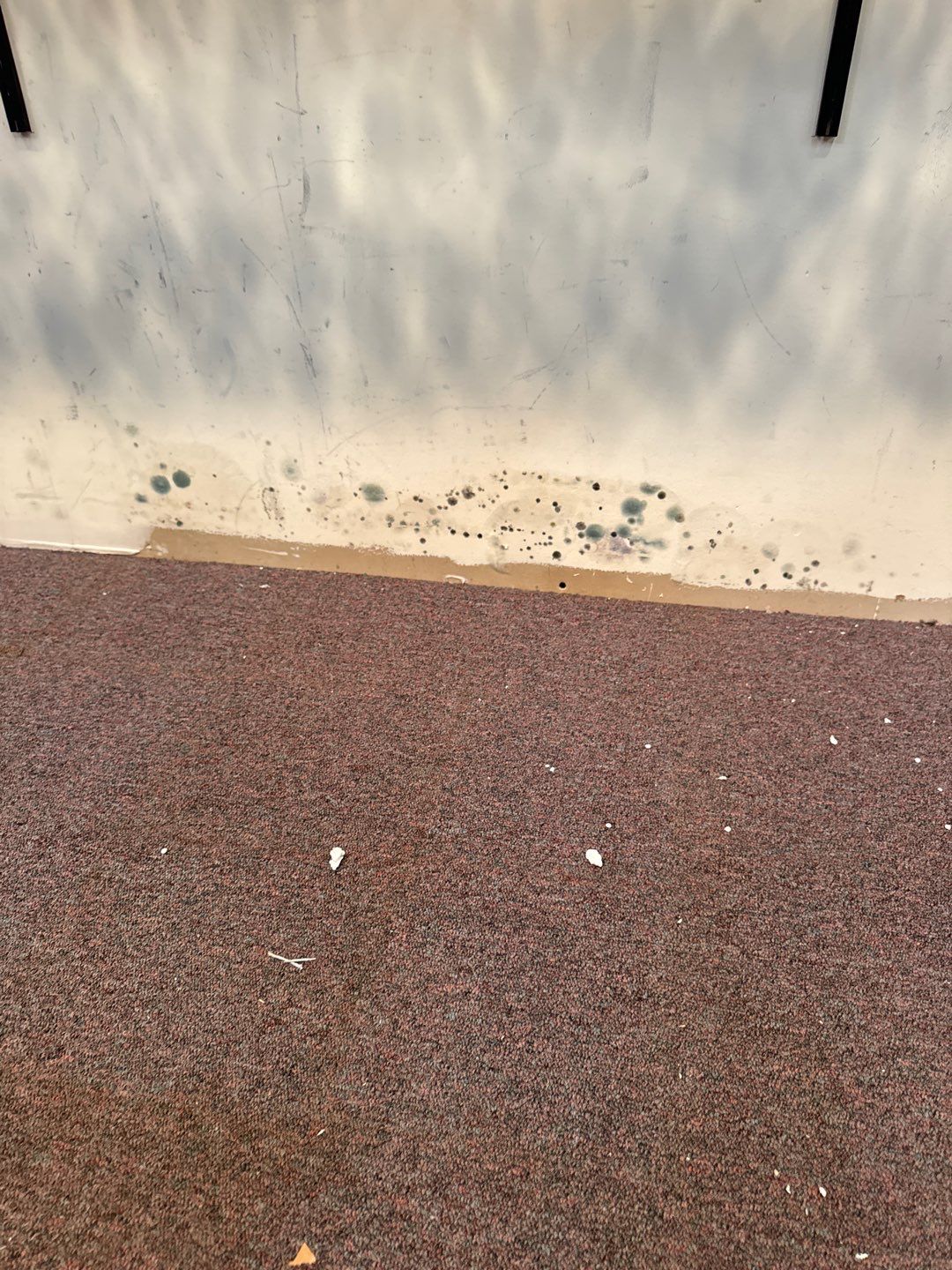 Sprinkler Failure at Antique Shop by Chicagoland Water Medics