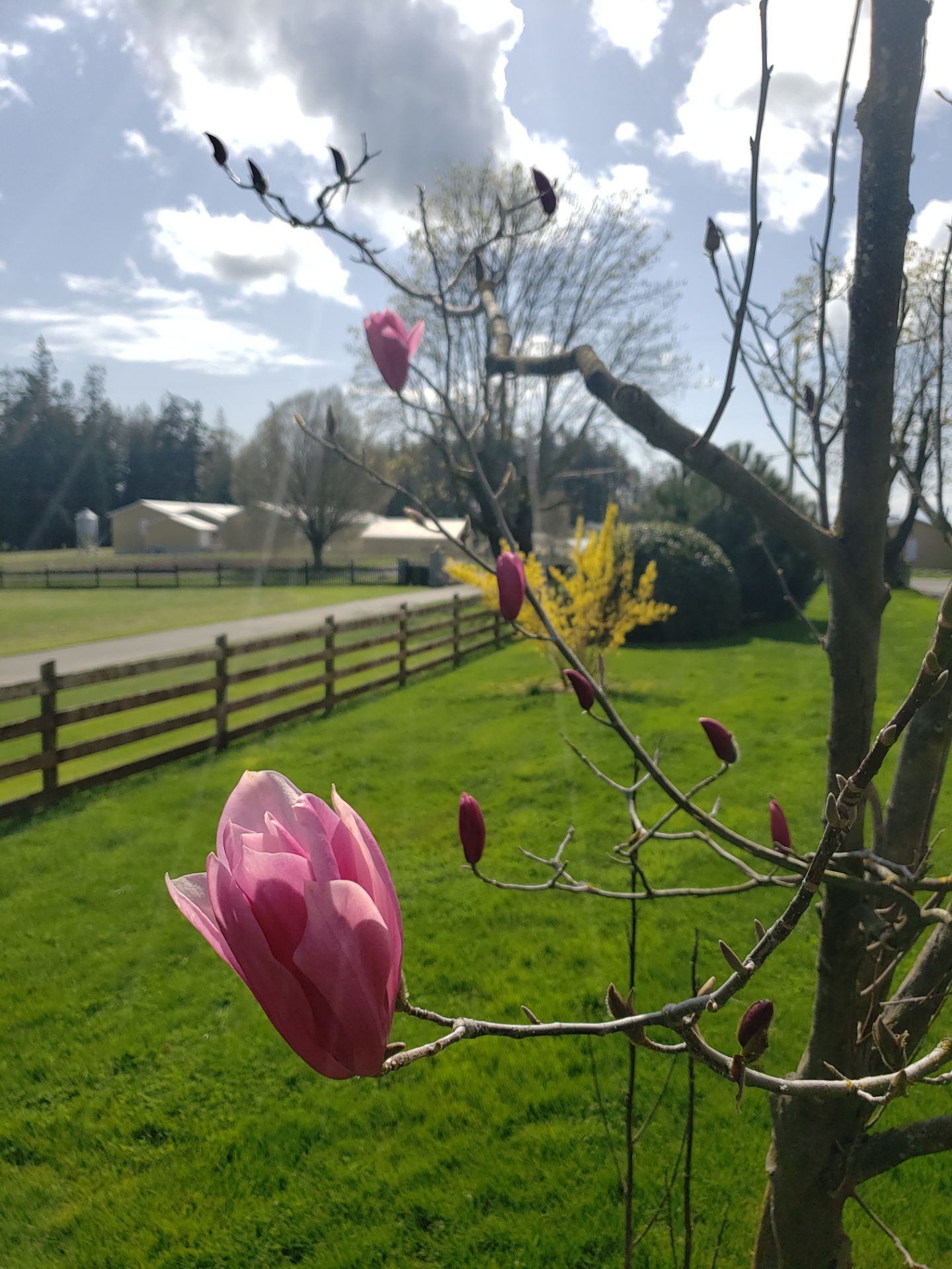 Puppy Love Farm by Habanero Garden and Exterior Care