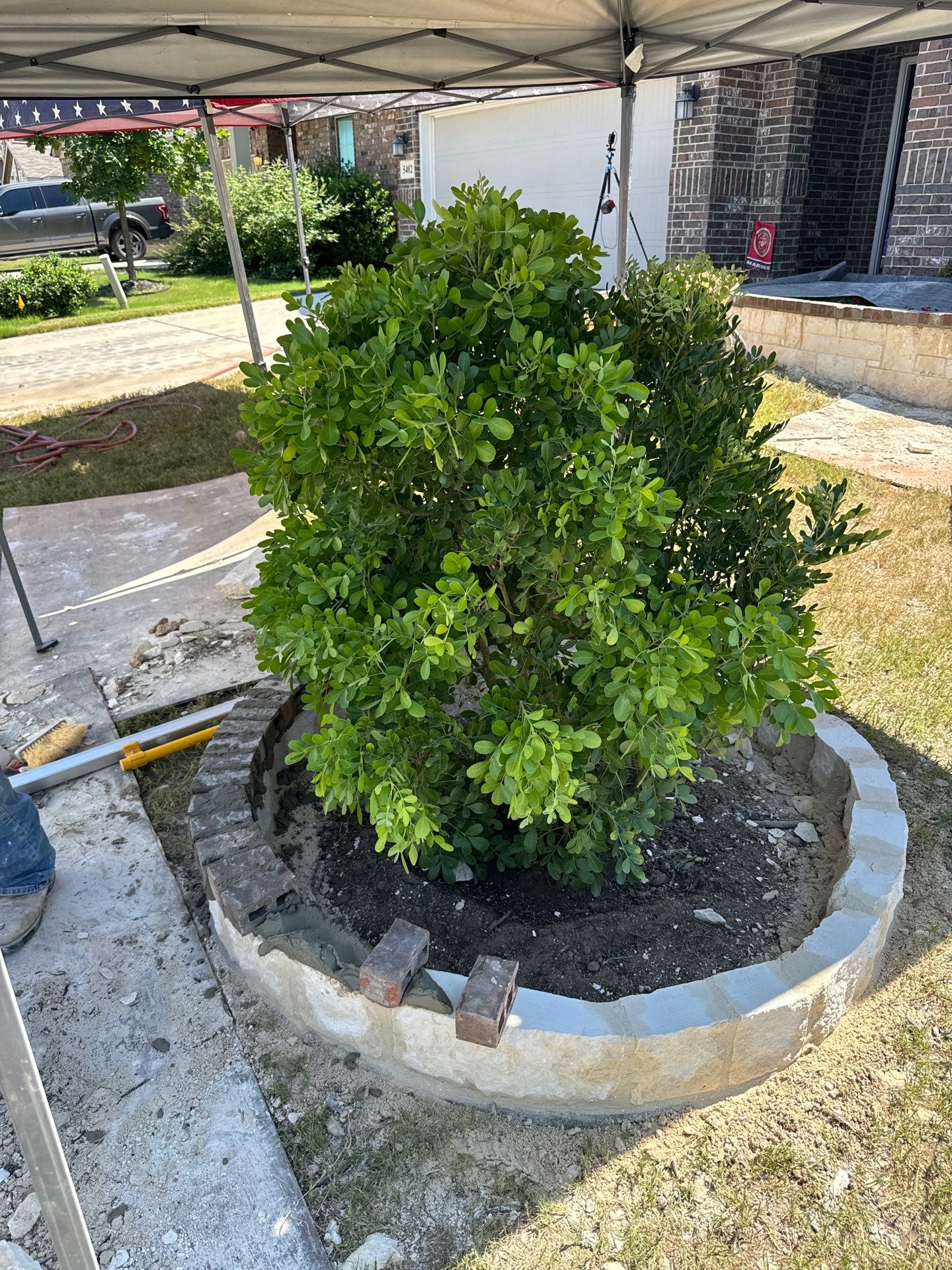 Wortham Oaks - San Antonio, TX by Hole In One Lawns, LLC