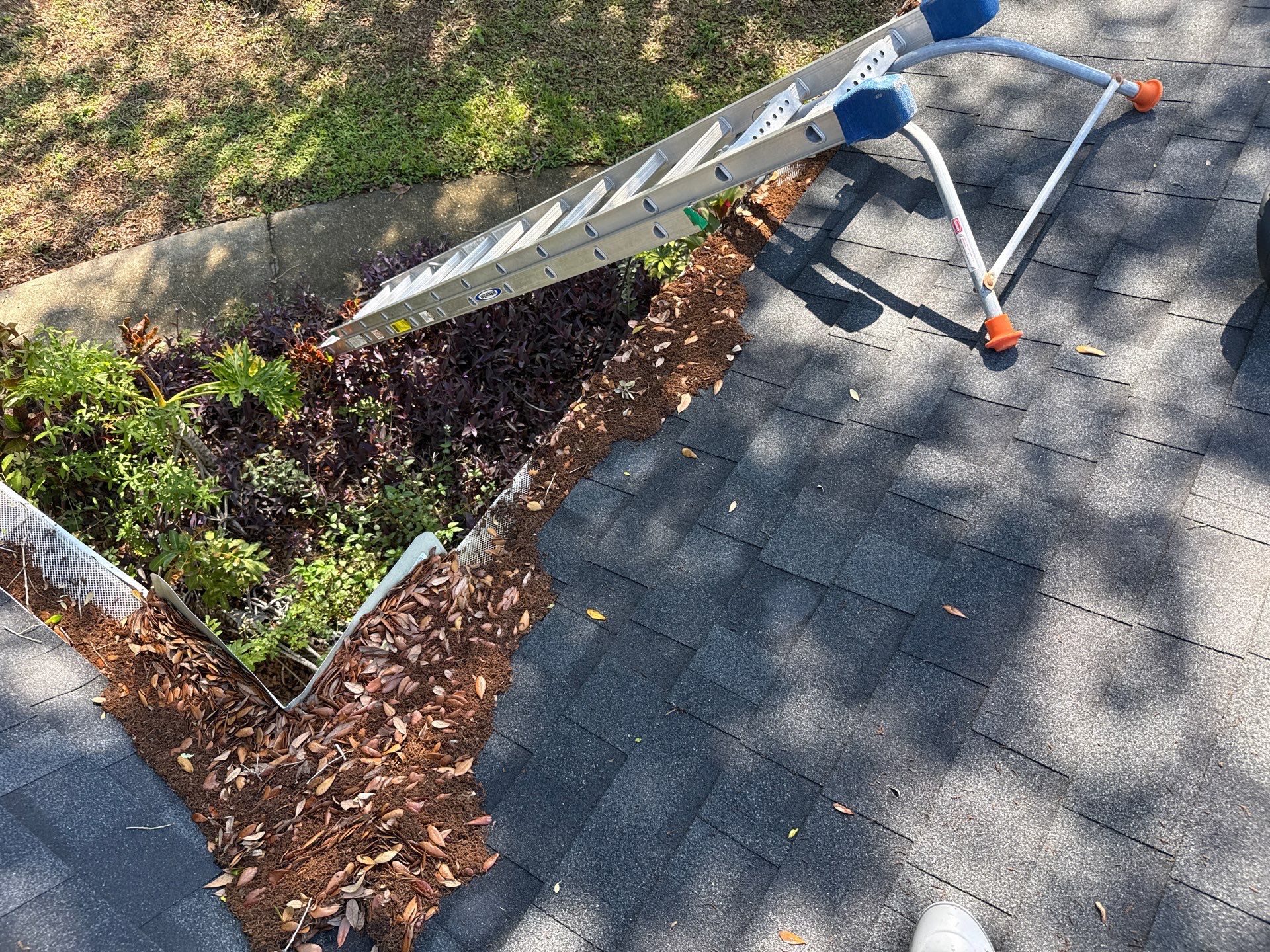 Gutter Clean-Out & Guard Maintenance – Debris & Pollen Buildup Removal by Sunshine AquaWash