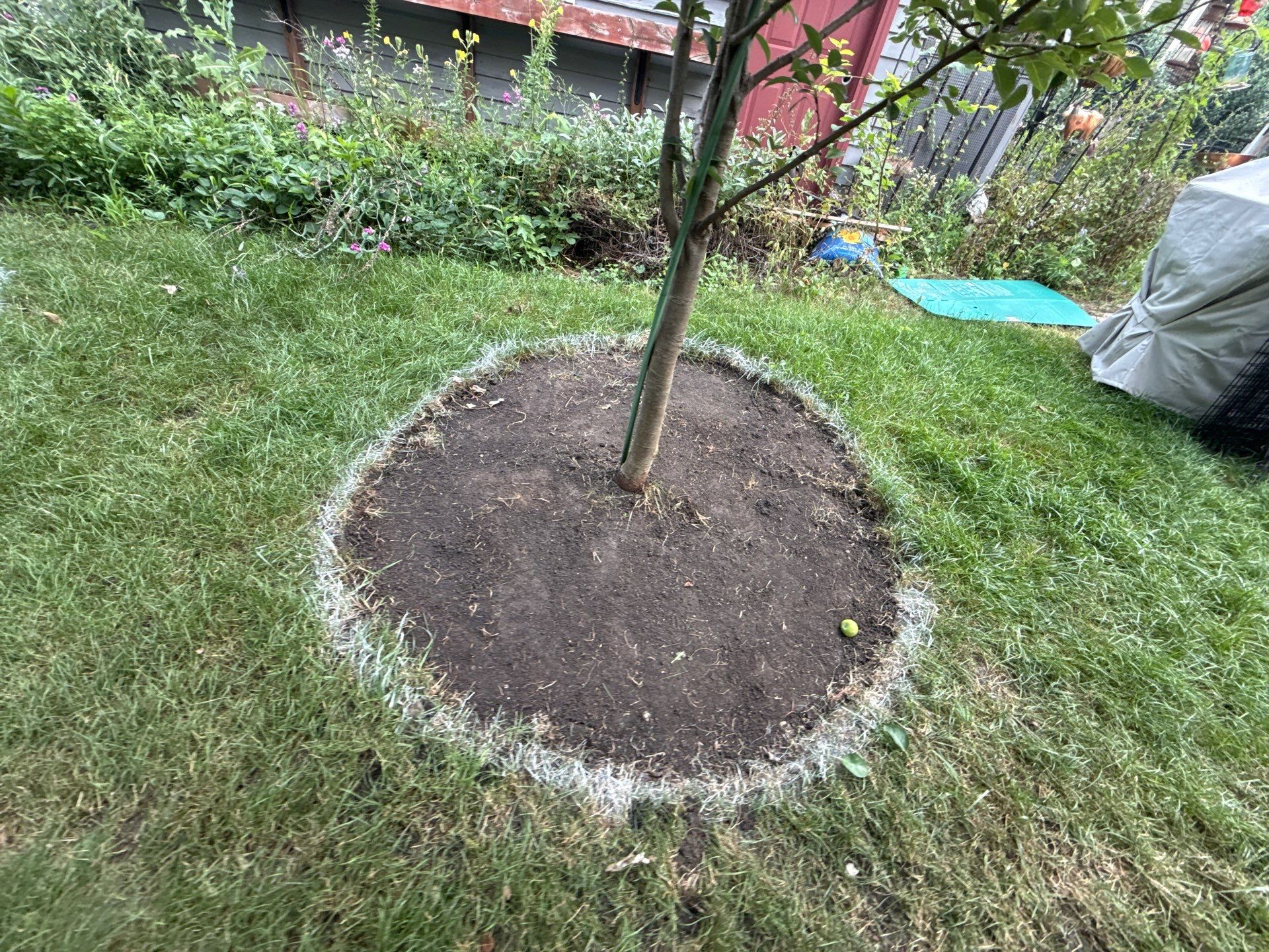 Donna L. - Arlington Heights, IL by A&N