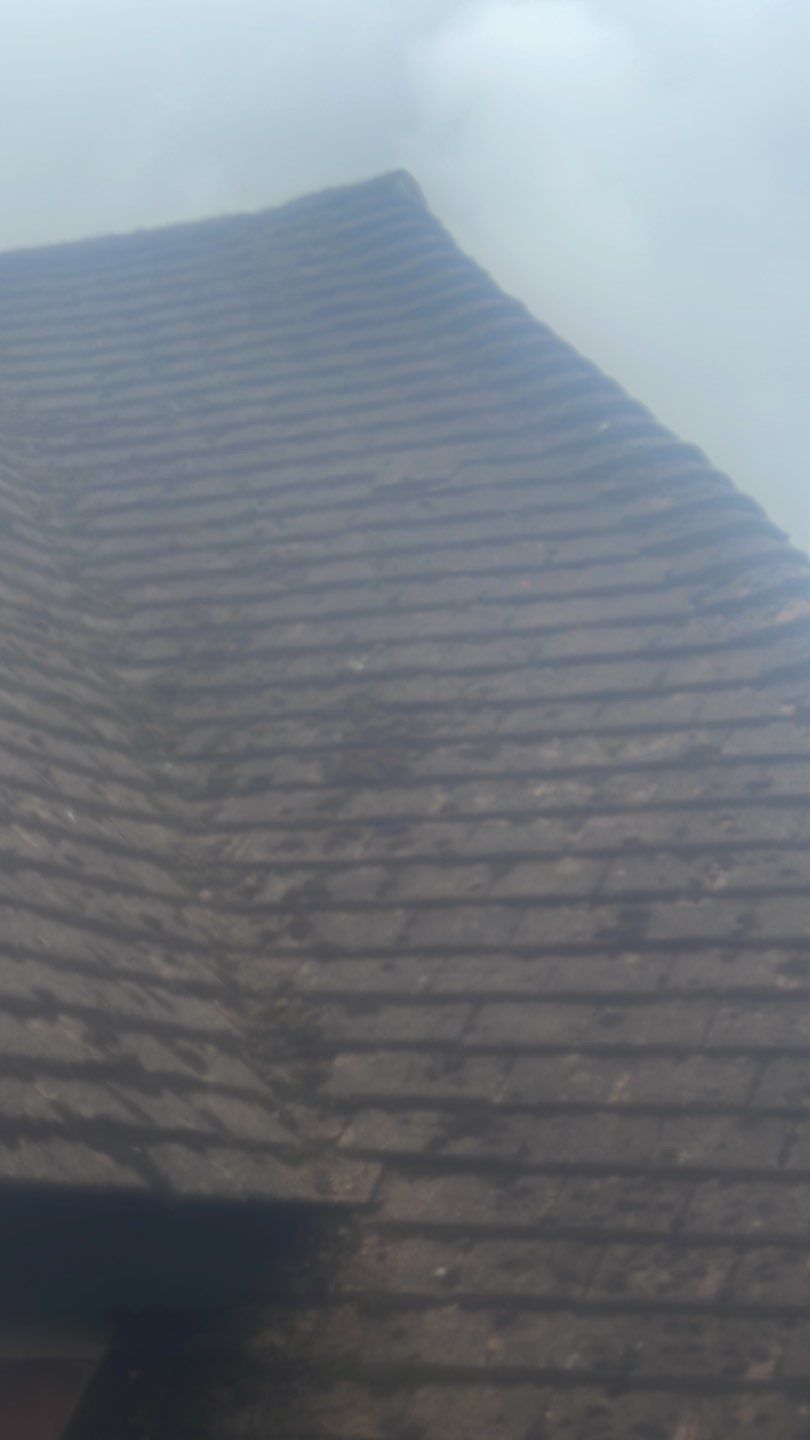 Roof Clean  - Moss Removal - Gutter Clean by Ges Exterior Cleaning ltd