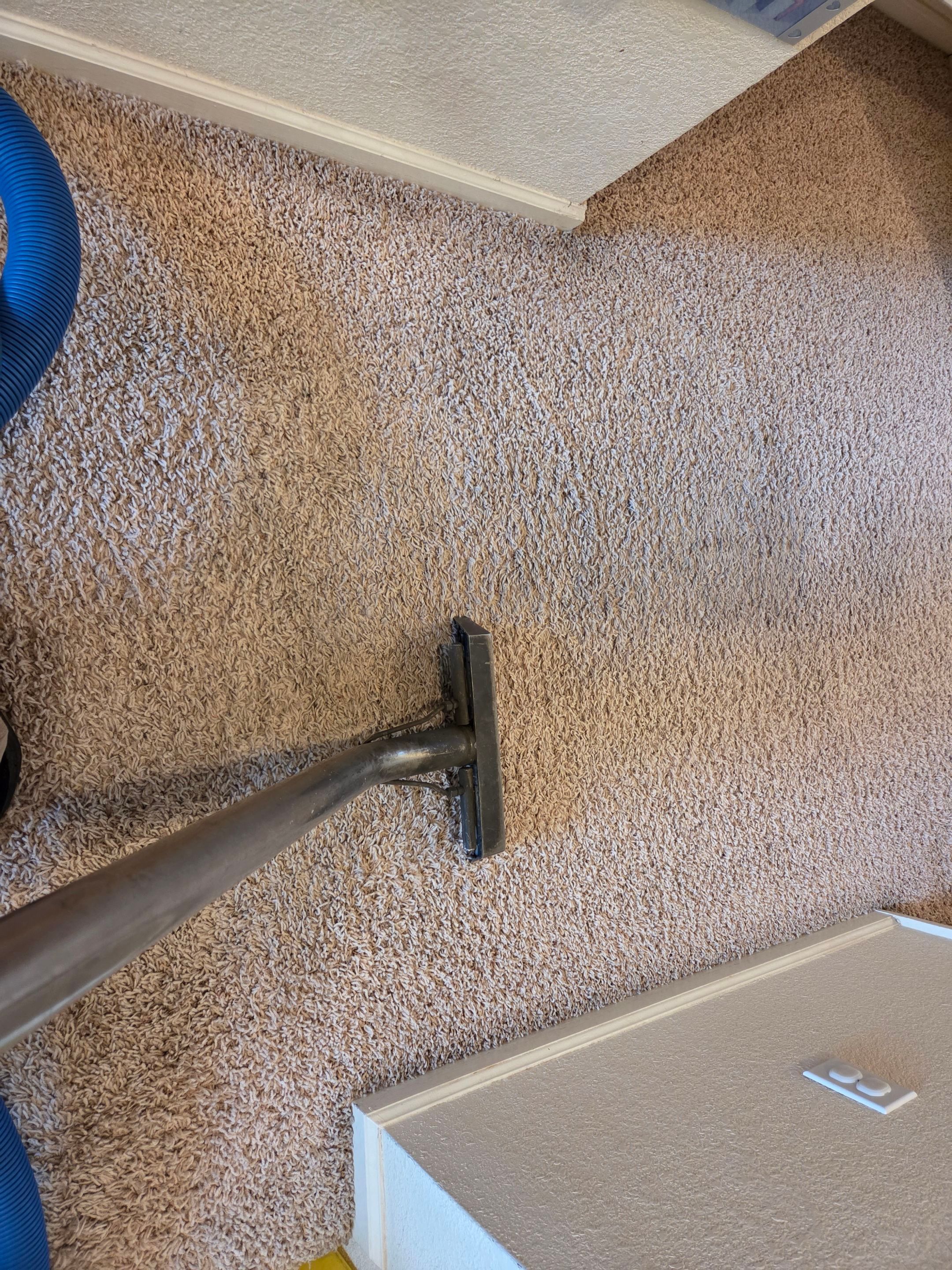 Carpet & Upholstery Cleaning in Roseville by Ardent Carpet Restore LLC
