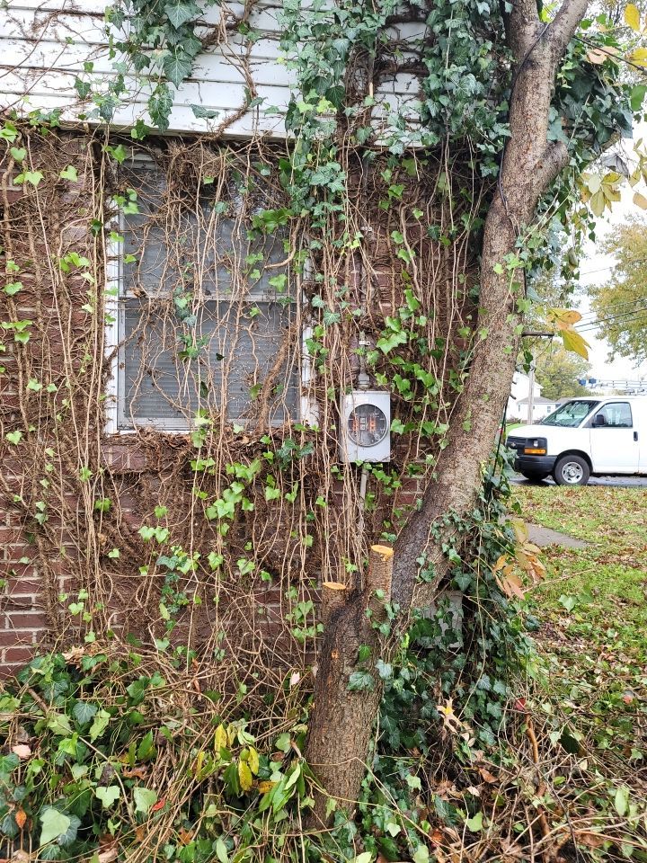 Brand: Atlas Pinnacle Color: Pristine Black by Eagle Eye Roofing