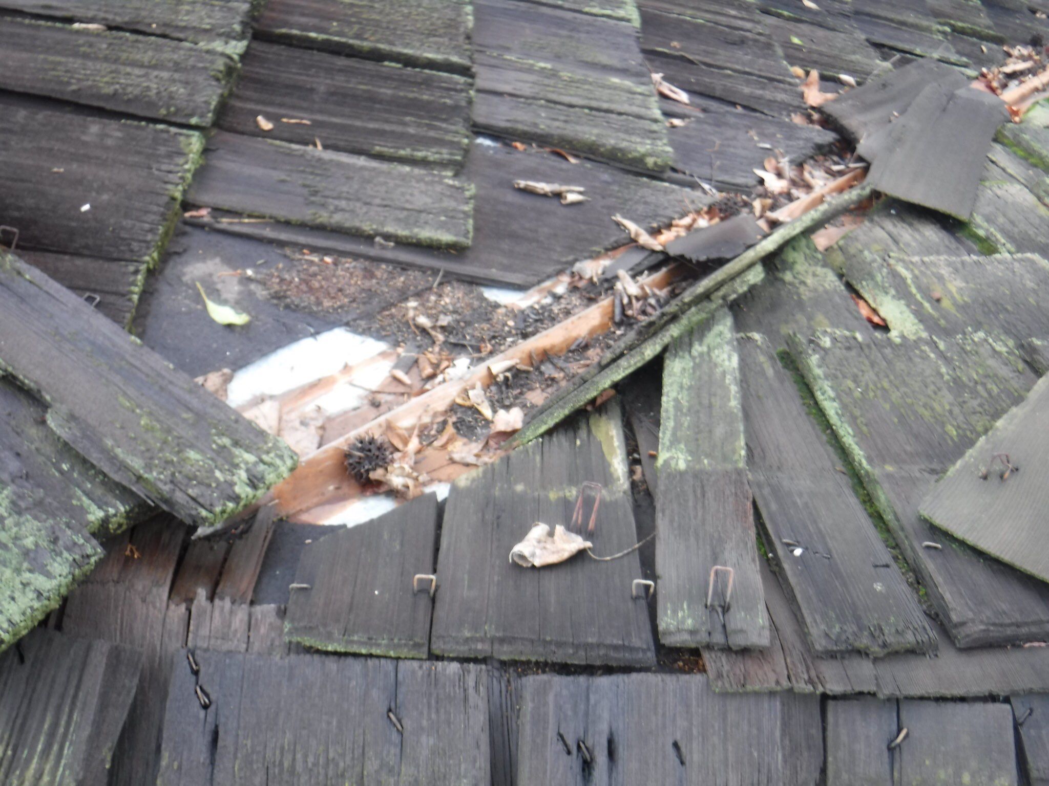 Attic Insulation, LeafGuard Gutters, and a new roof. by Byers Enterprises 