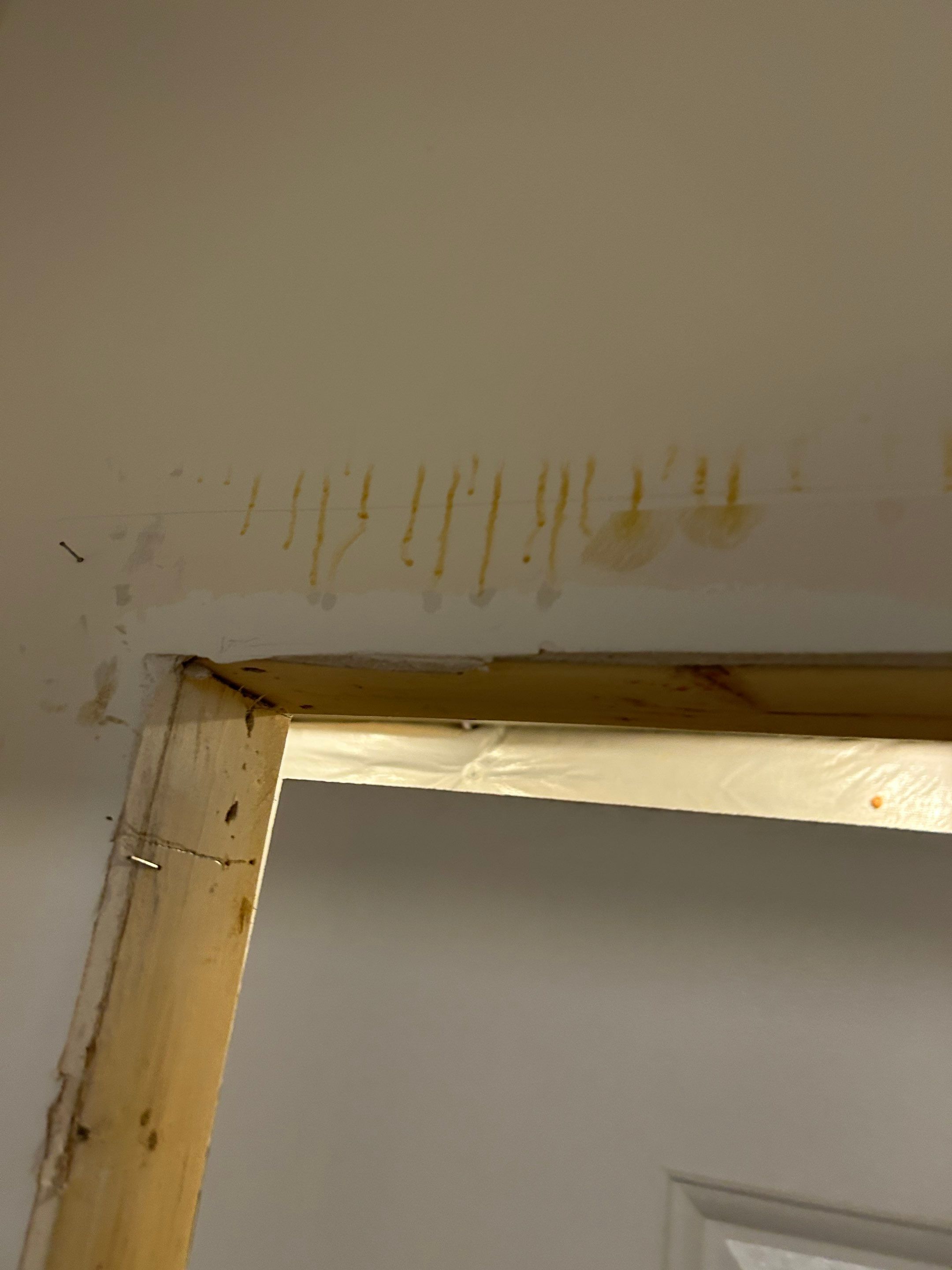 Mold/Water Remediation and Repairs in Floyds Knobs, IN by ANR Restoration