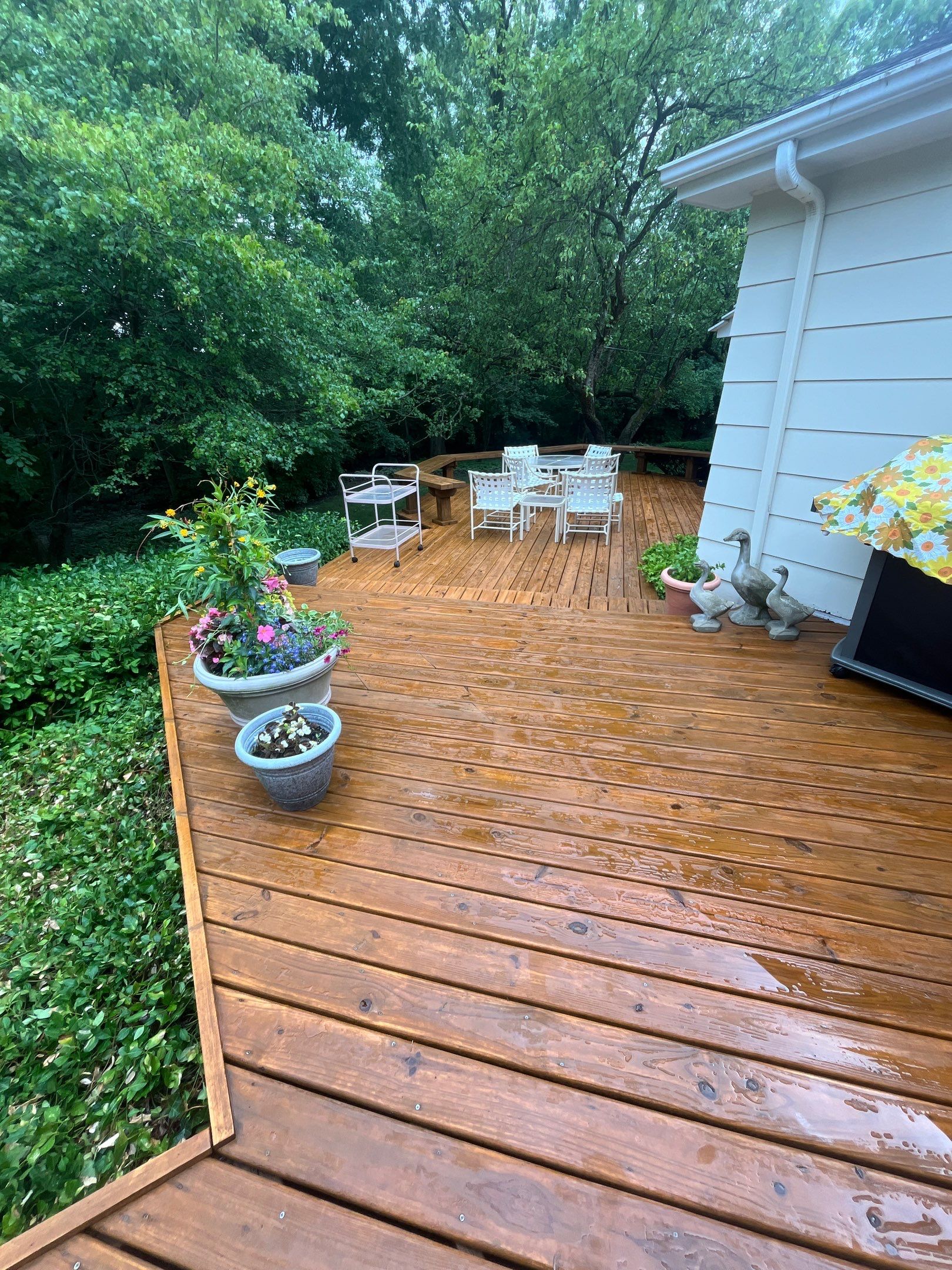 Wood cleaning and staining using Algaecide, soft wash soap by Northern Power Washing LLC.
