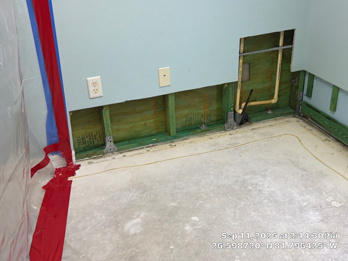 Fort Myers Water Damage Restoration and Professional Mold Remediation by Microscope