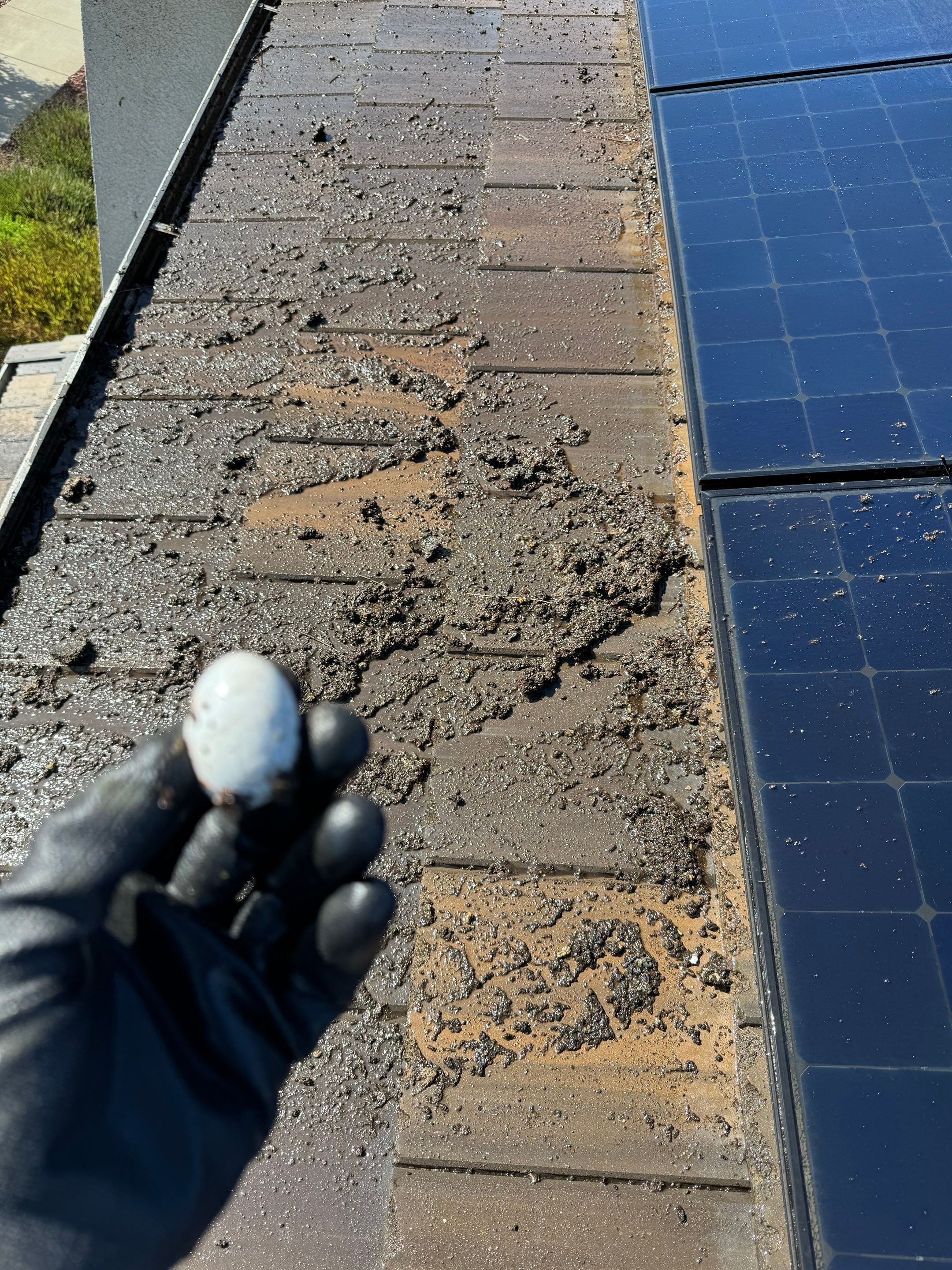 Project in Sacramento, CA by All One Solar Shine