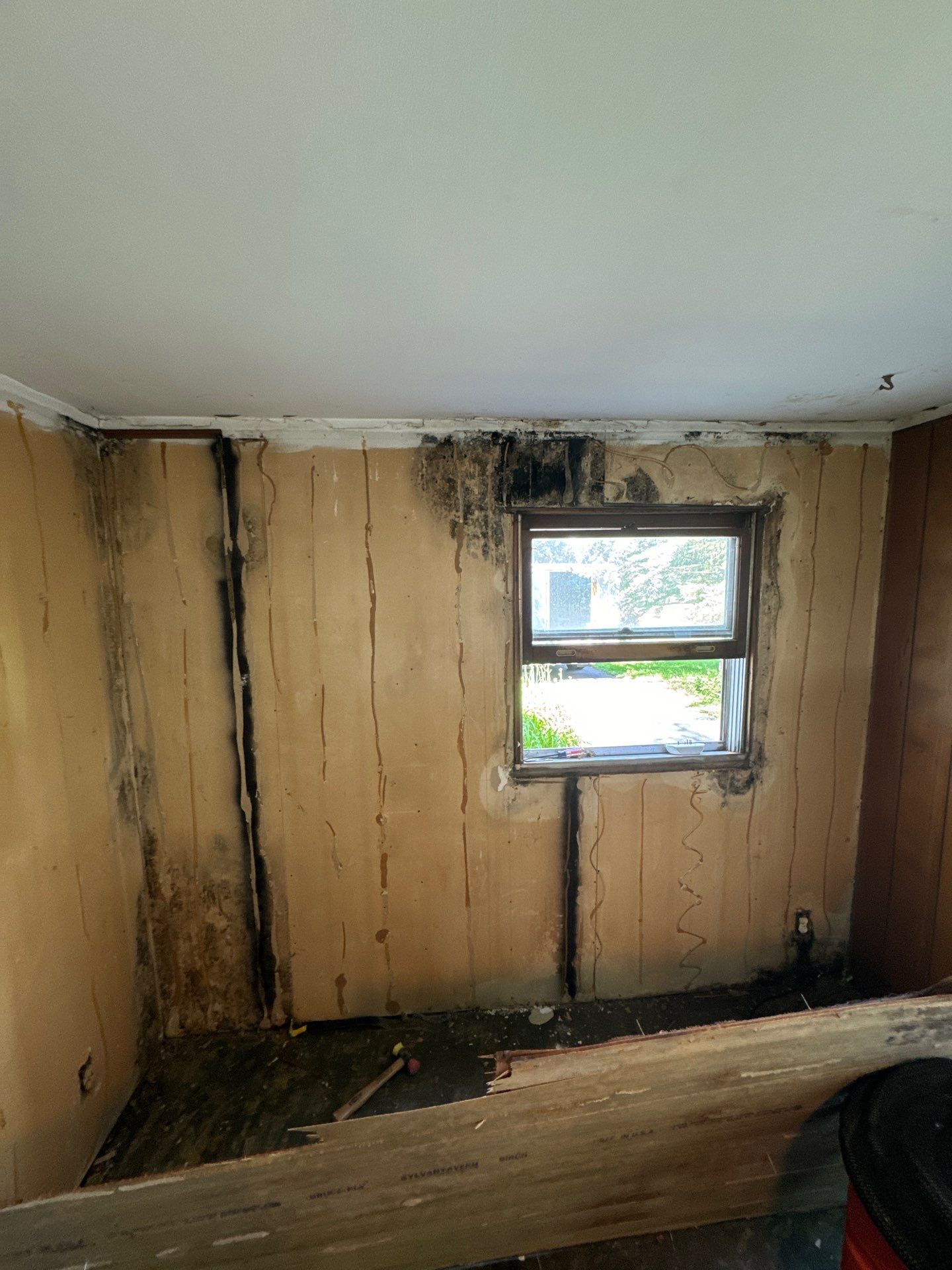 Roof Leak by Chicagoland Water Medics