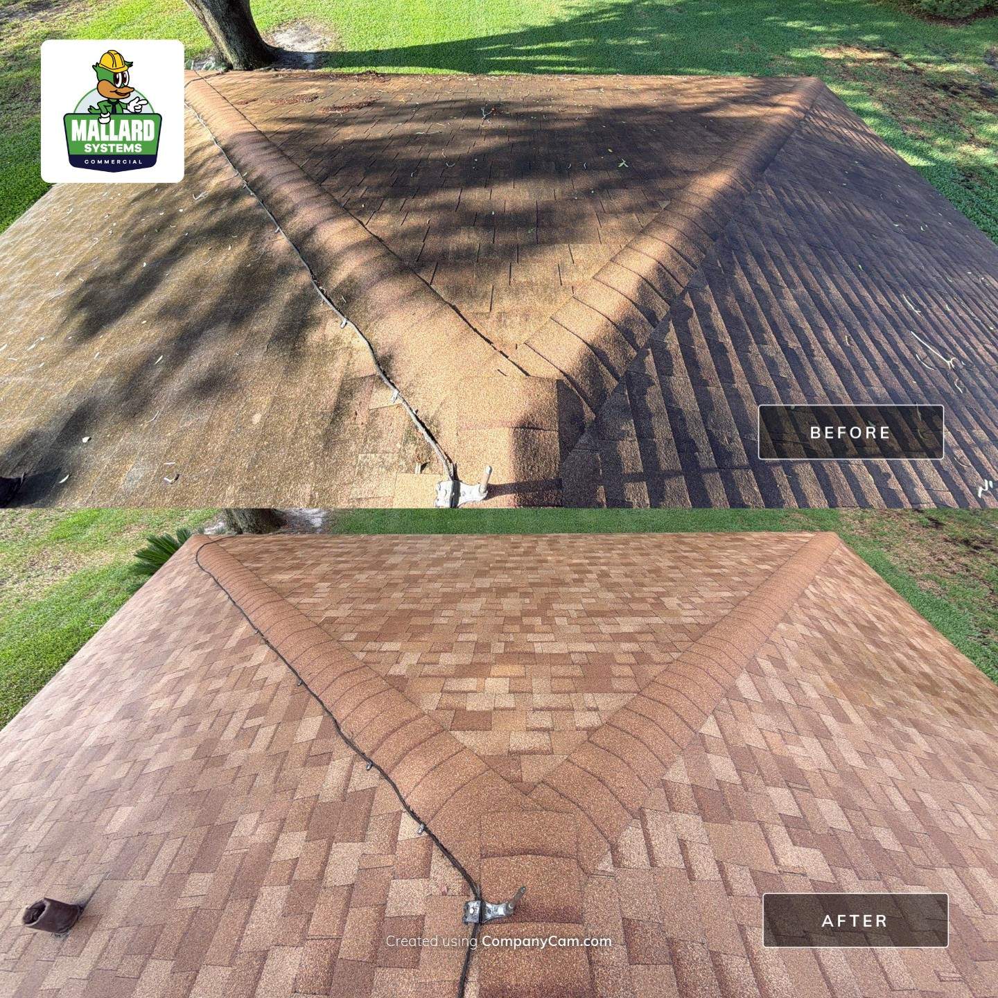 Shingle Roof Cleaning & Roof Debris Removal  by Mallard Systems