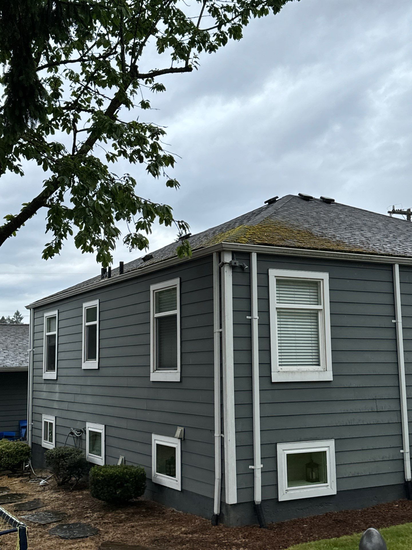 Project in Seattle by Peaks and Valleys Construction