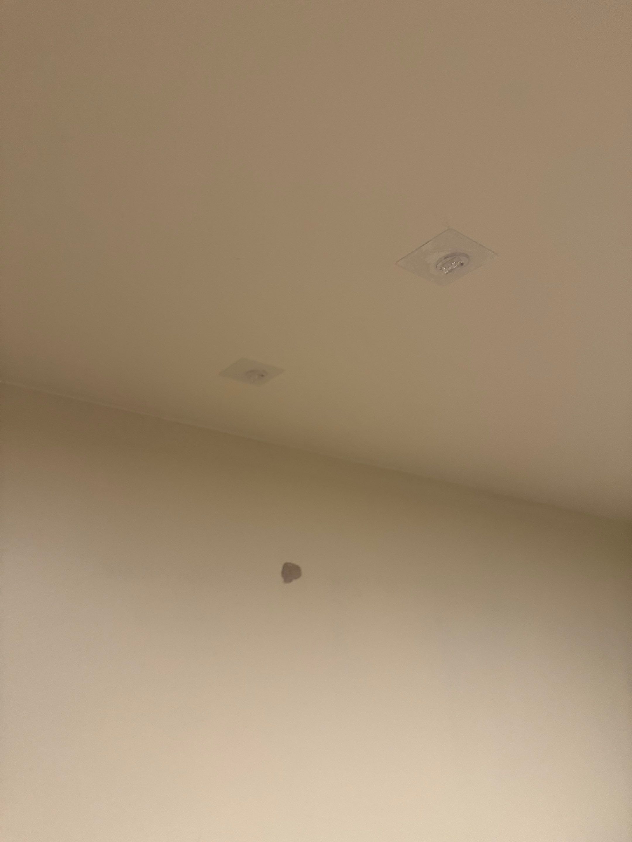 Painting by YVR Construction Group