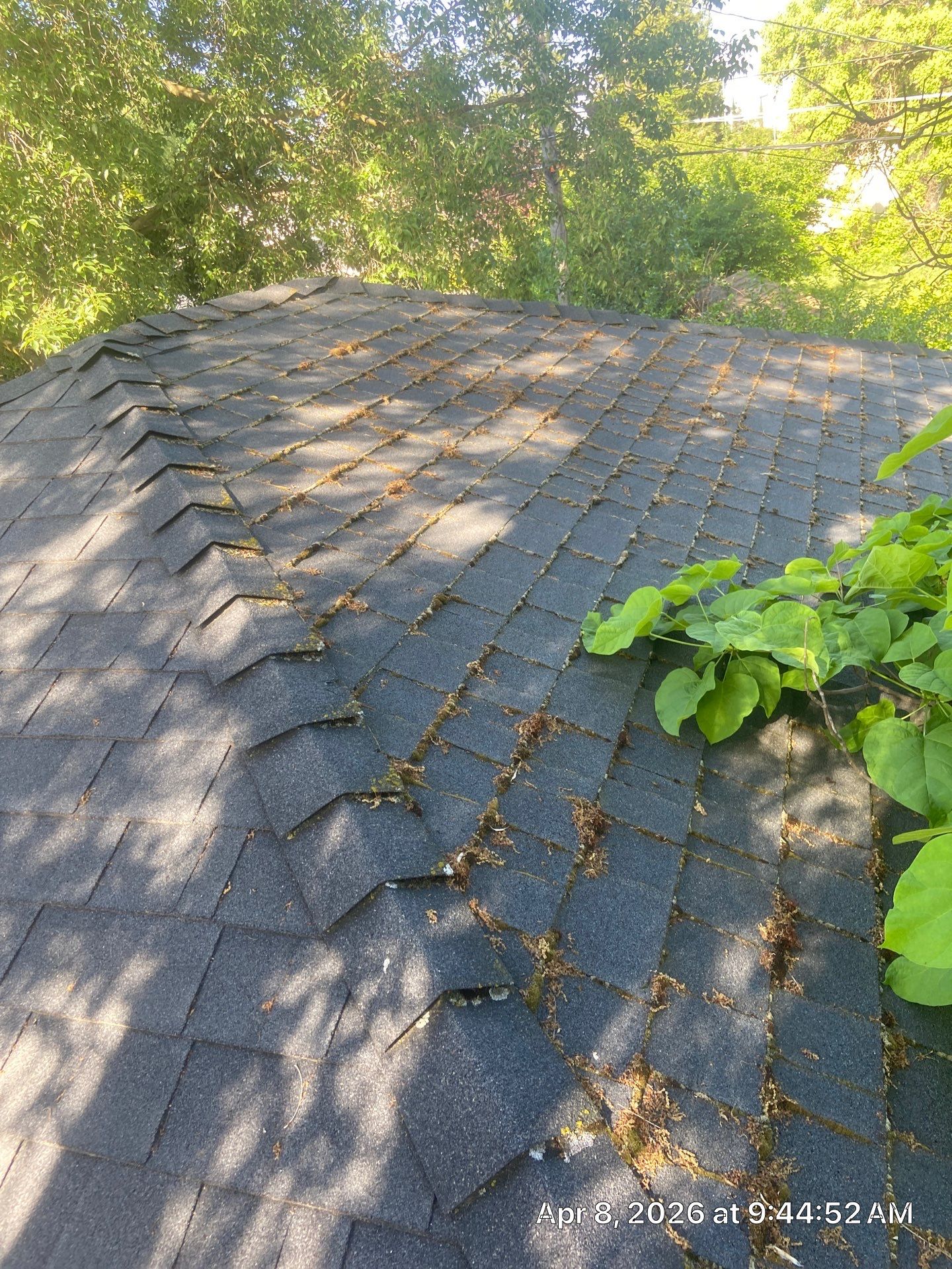 Roof Rejuvenation using Roof Maxx Treatment by Roof Maxx of Folsom