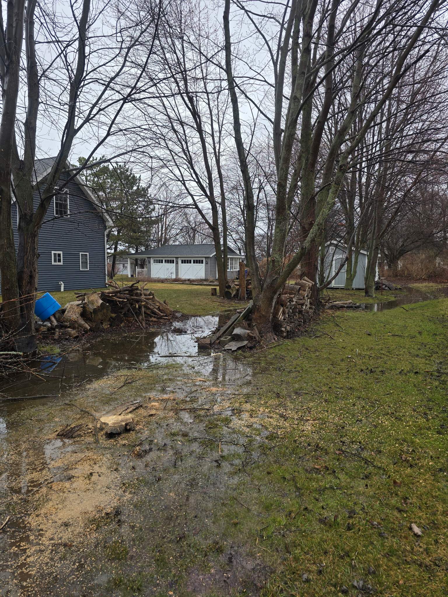 Tree Removal using Bobcat by Treeman Tom LLC