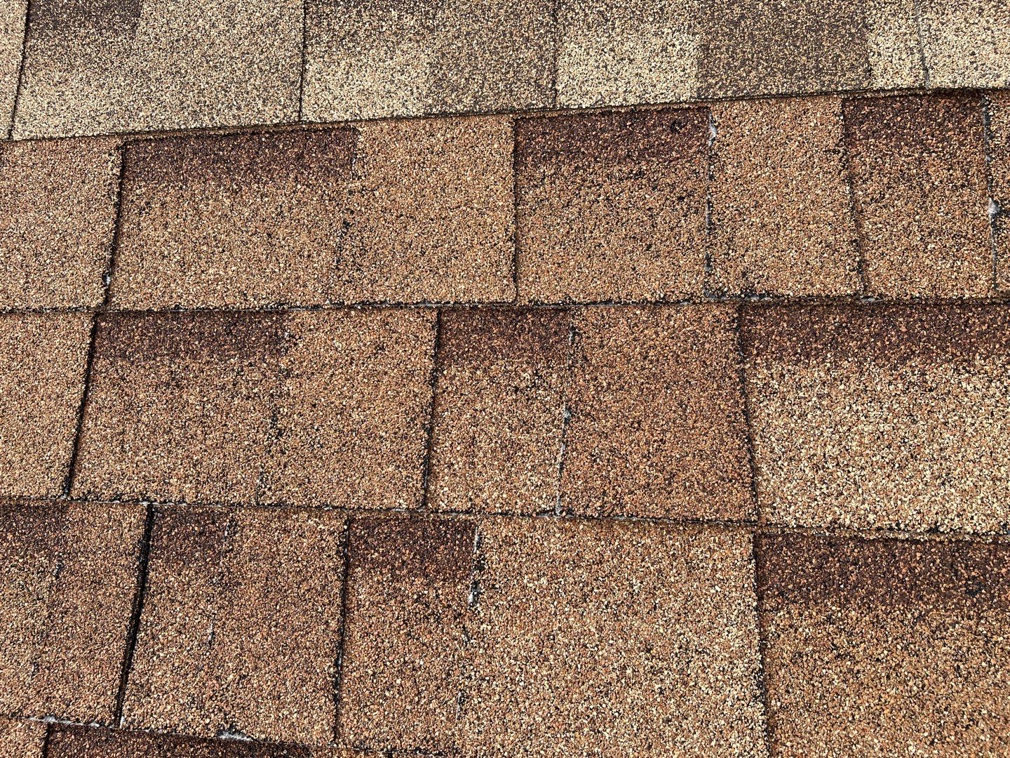 Jenna's Re-Roof and Ridge Vents by All Storm Roofing & Construction