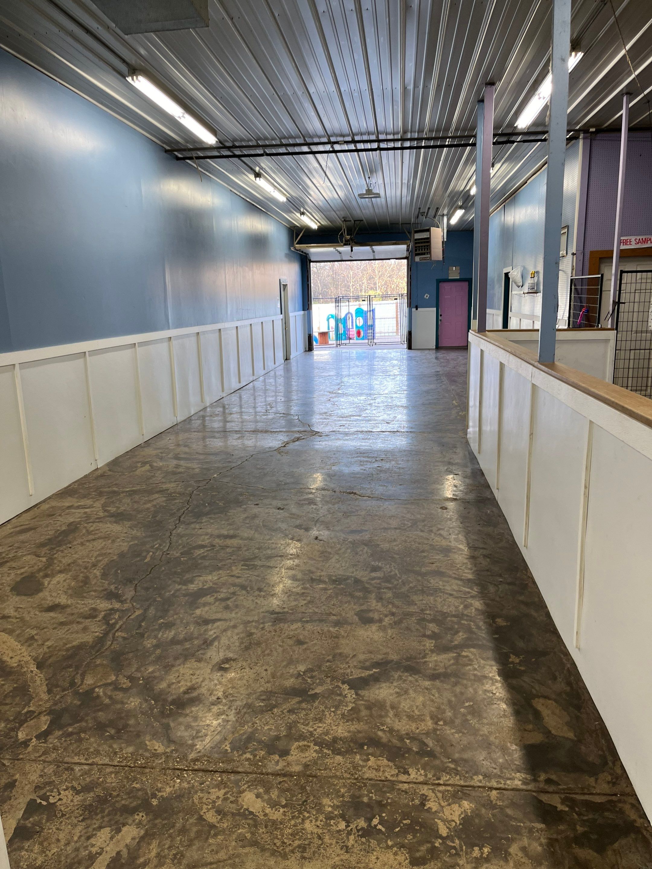 Doggy Daycare Refresh! by Revival Concrete Coatings