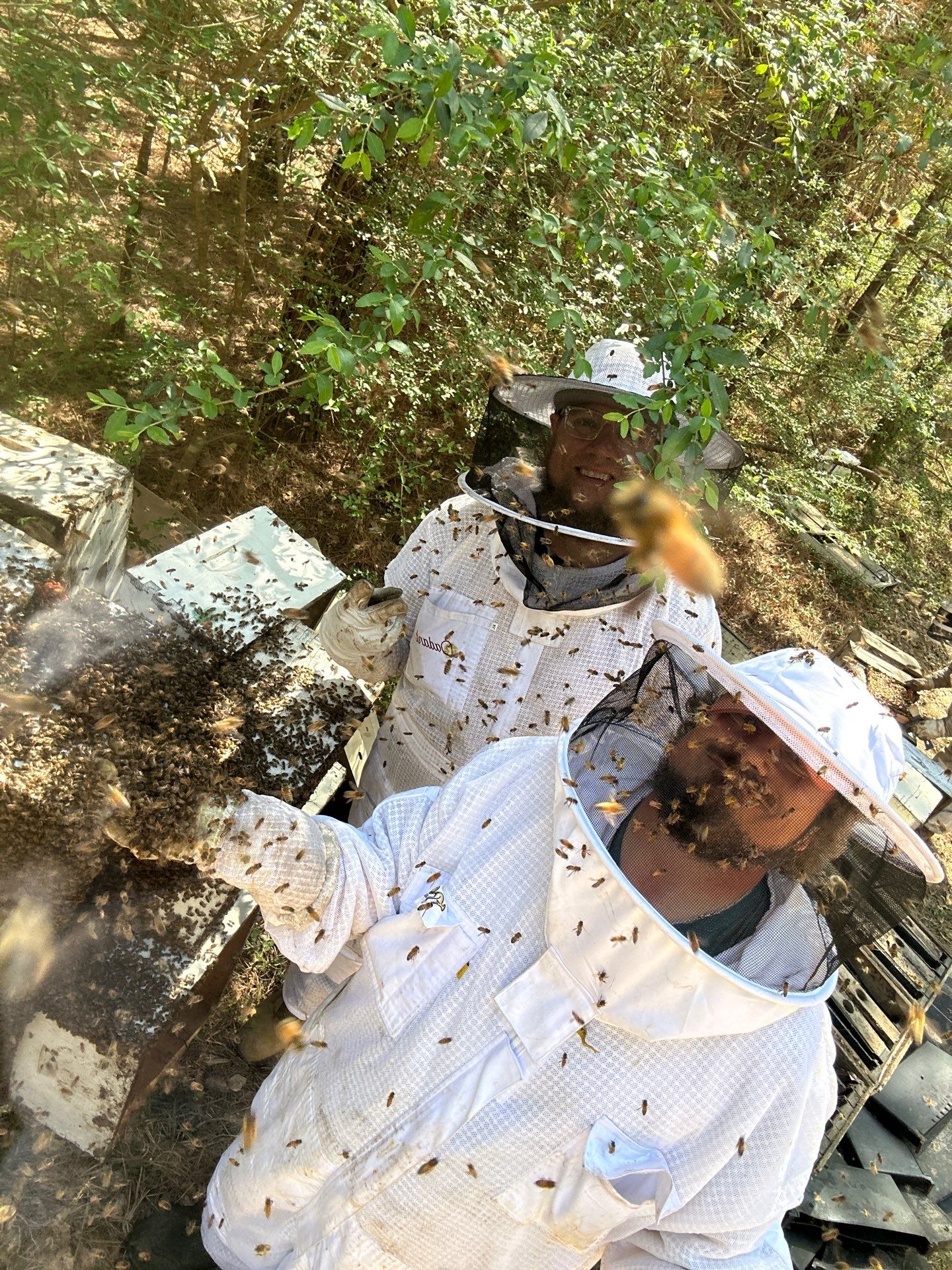 Tree Farm Apiary by Rockwall Honey Bee Company
