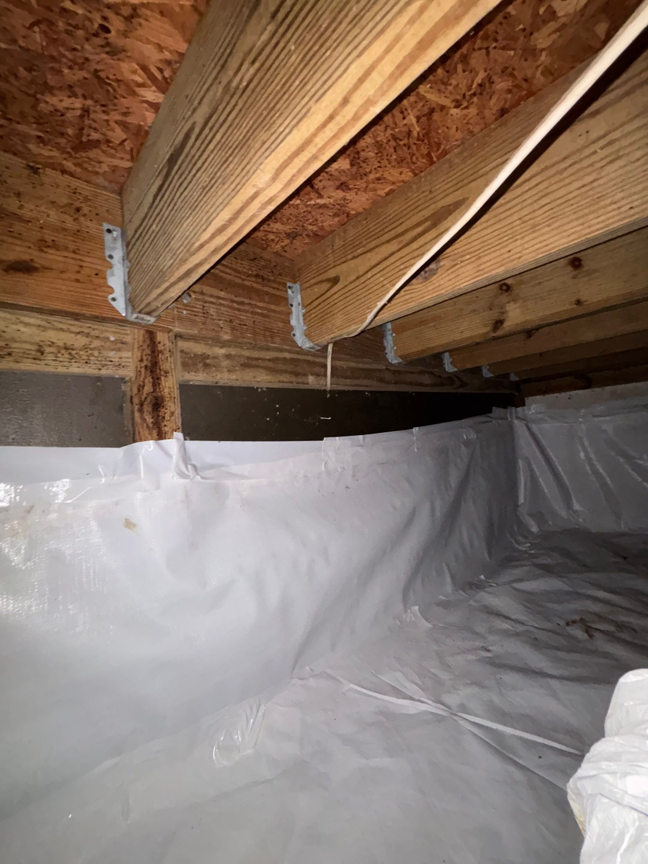 Biohazard Crawlspace by ANR Restoration